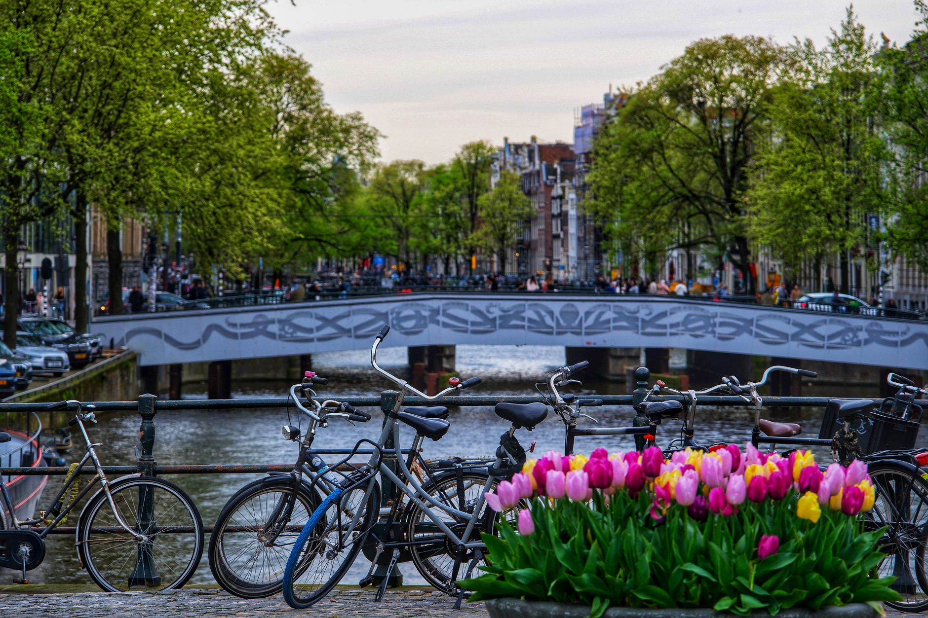Rows of bicycles parked along an Amsterdam canal railing, more cyclists riding past