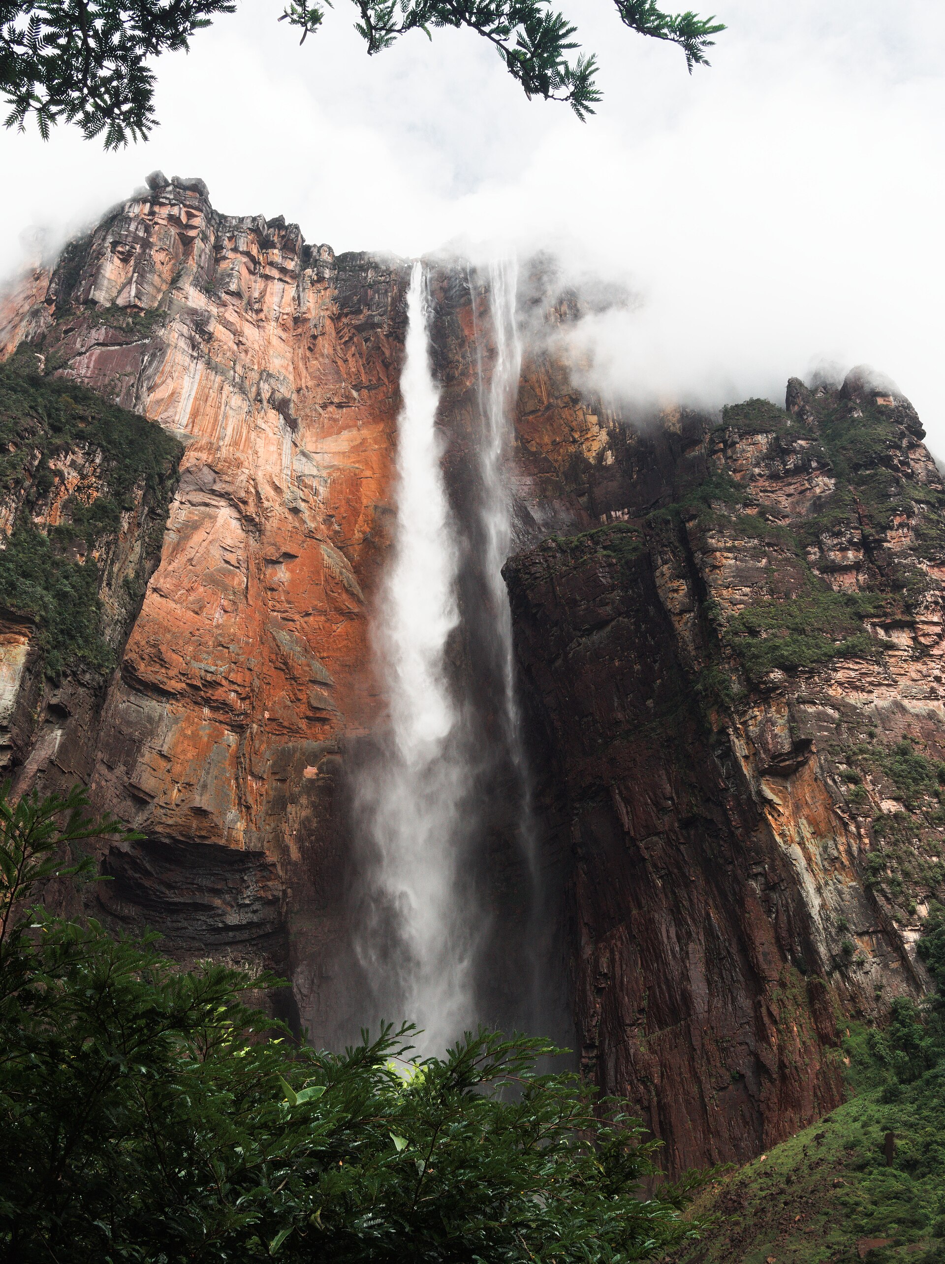 Angel Falls plunging from the cliff top of Auyantepui in full flow, breaking into spray and mist against red rock