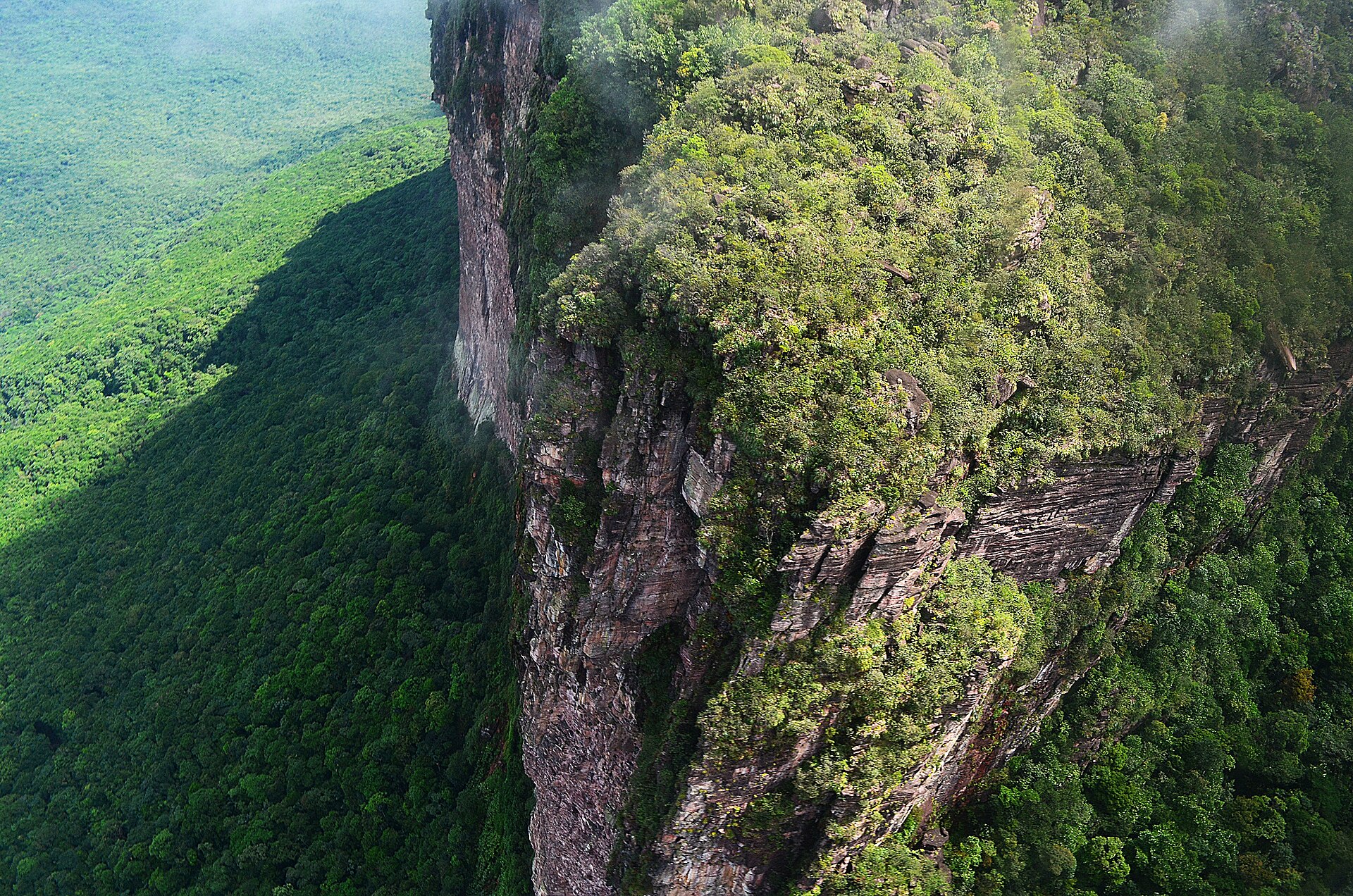 Aerial view along the green forested edge of Auyantepui where the plateau breaks away into a deep gorge