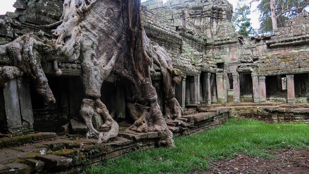 A tree rooted into the stone of a collapsing gallery at Preah Khan, dappled with light