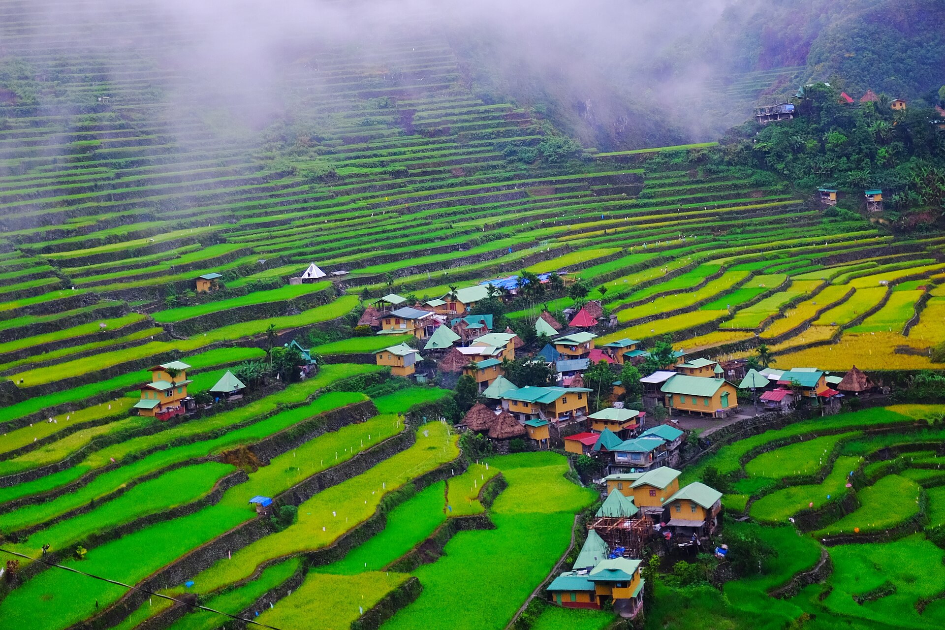 Batad village surrounded by vivid green rice terraces with cloud sitting on the ridge above