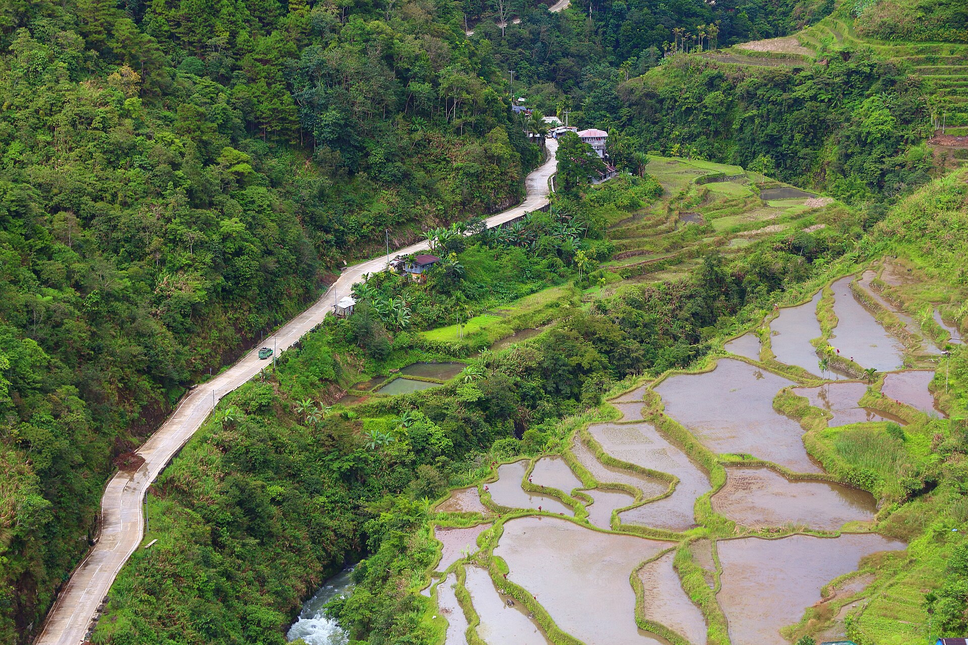 The broad stone-walled terraces of Hapao in Hungduan, seen from a road above the valley