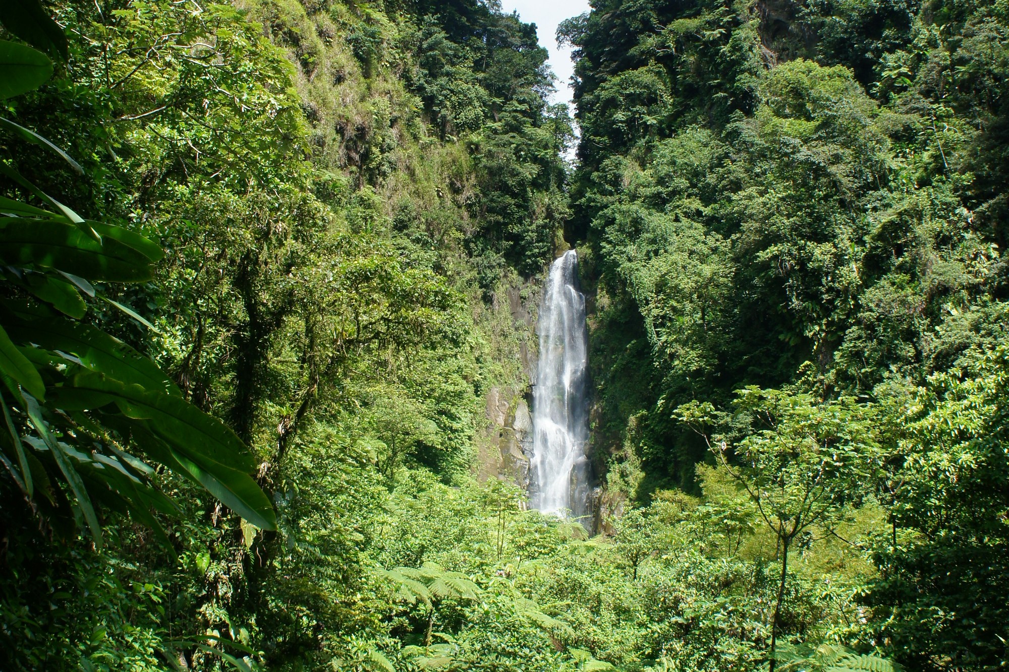 Dominica's Boiling Lake Is Eight Hours On Foot and Not Always Boiling