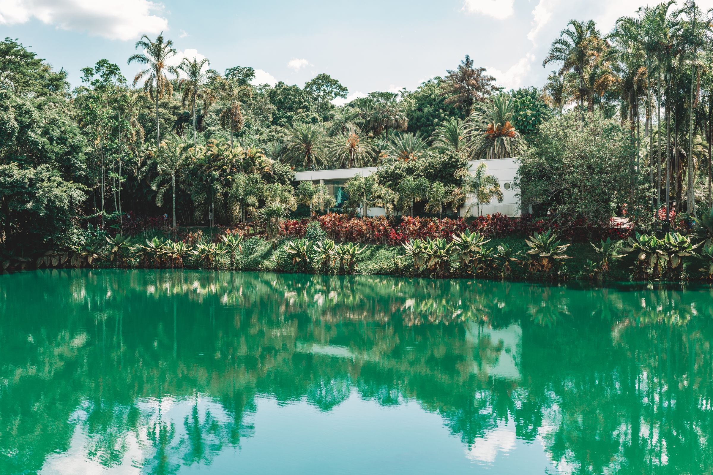 A low white pavilion across a still green lake fringed by tropical planting at Inhotim