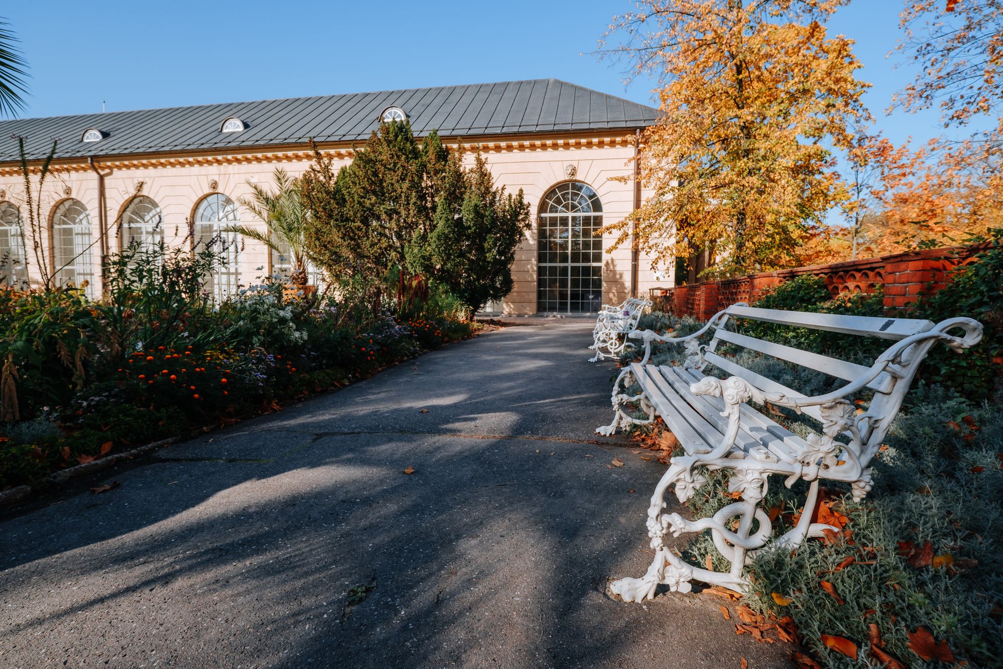 A path and glasshouse in the Bucharest botanical garden in autumn