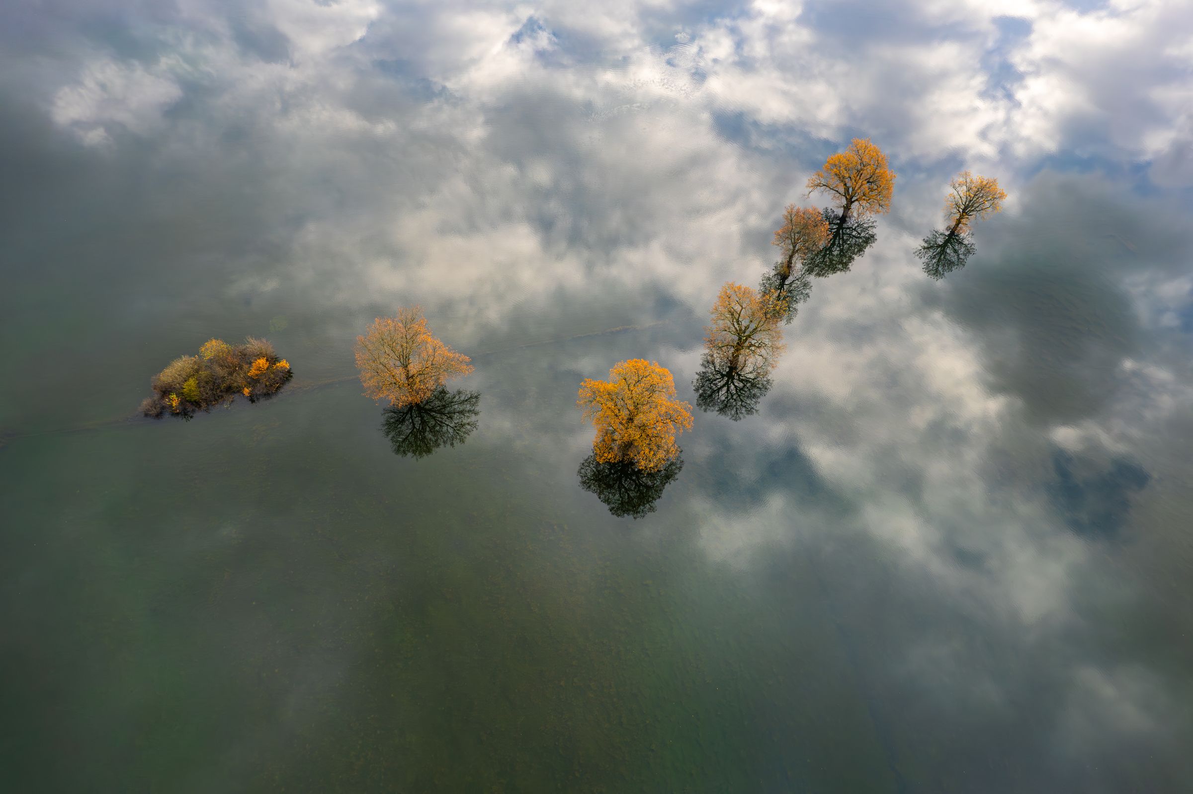 Bare autumn trees standing in still floodwater that reflects the cloudy sky, seen from above