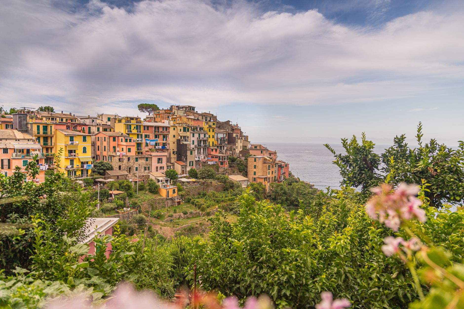 The cliff-top village of Corniglia in the Cinque Terre, coloured houses on a green headland above the sea