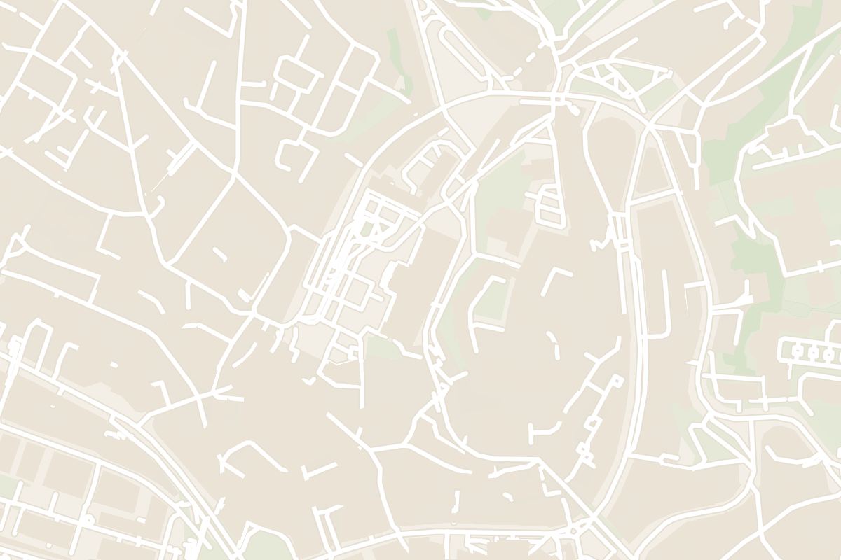 Map showing where Palais de Rumine is