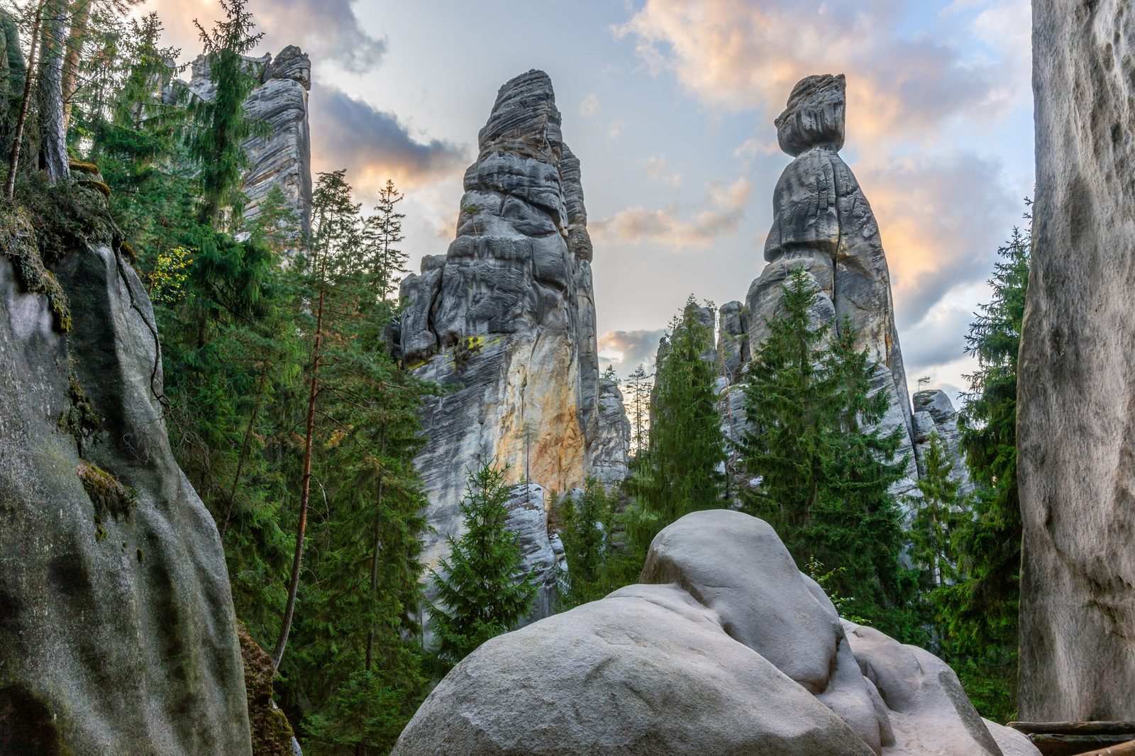 Sandstone towers rising among spruce trees at sunset in the Adršpach-Teplice Rocks