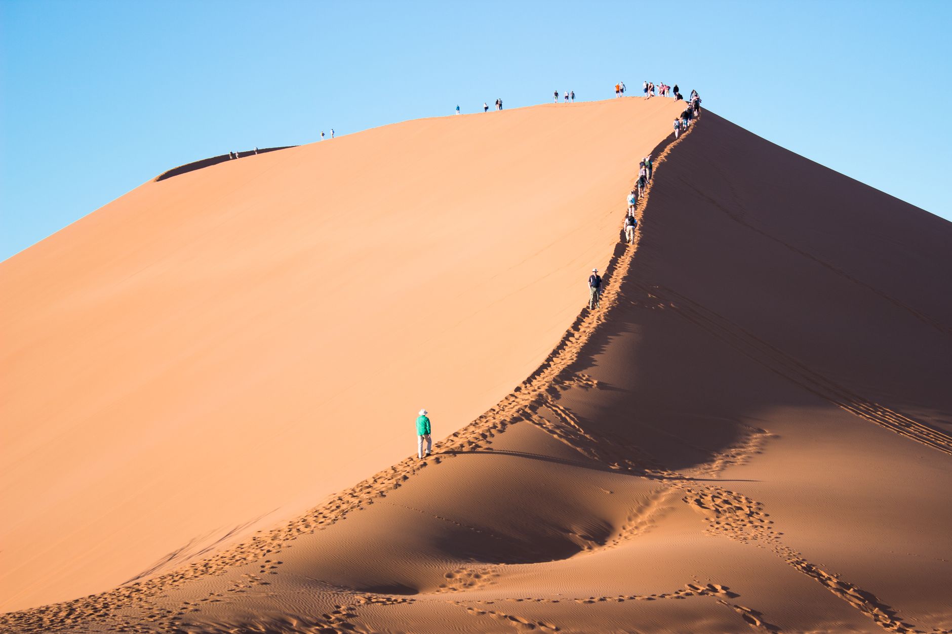 A line of small figures strung out along the knife ridge of a vast orange dune in the Namib