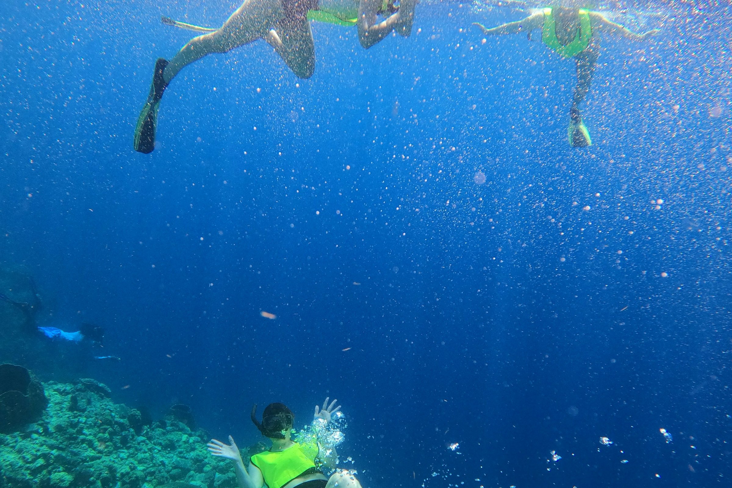 Snorkellers over a shallow reef in clear blue water in the Soufriere Scotts Head Marine Reserve