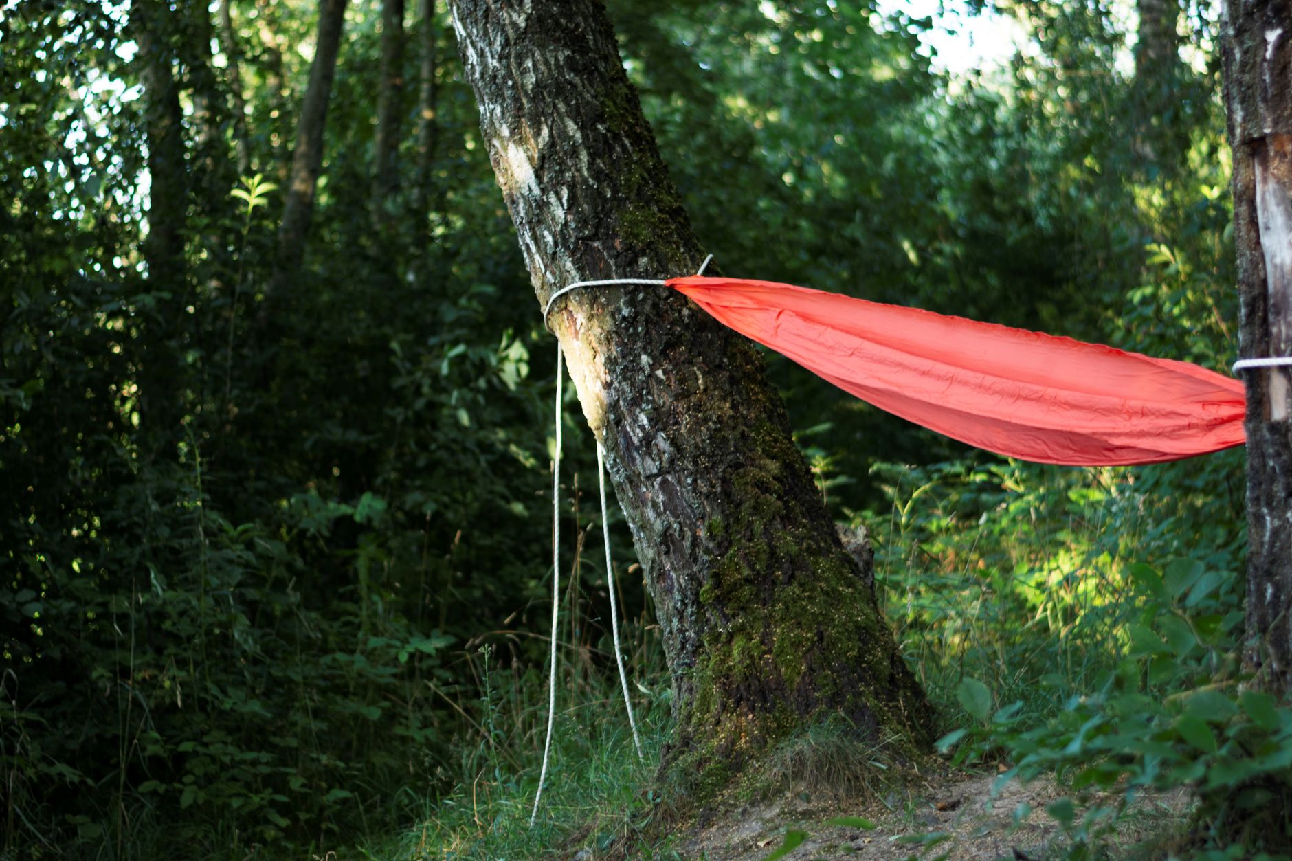 A hammock strung at a jungle camp on the trail