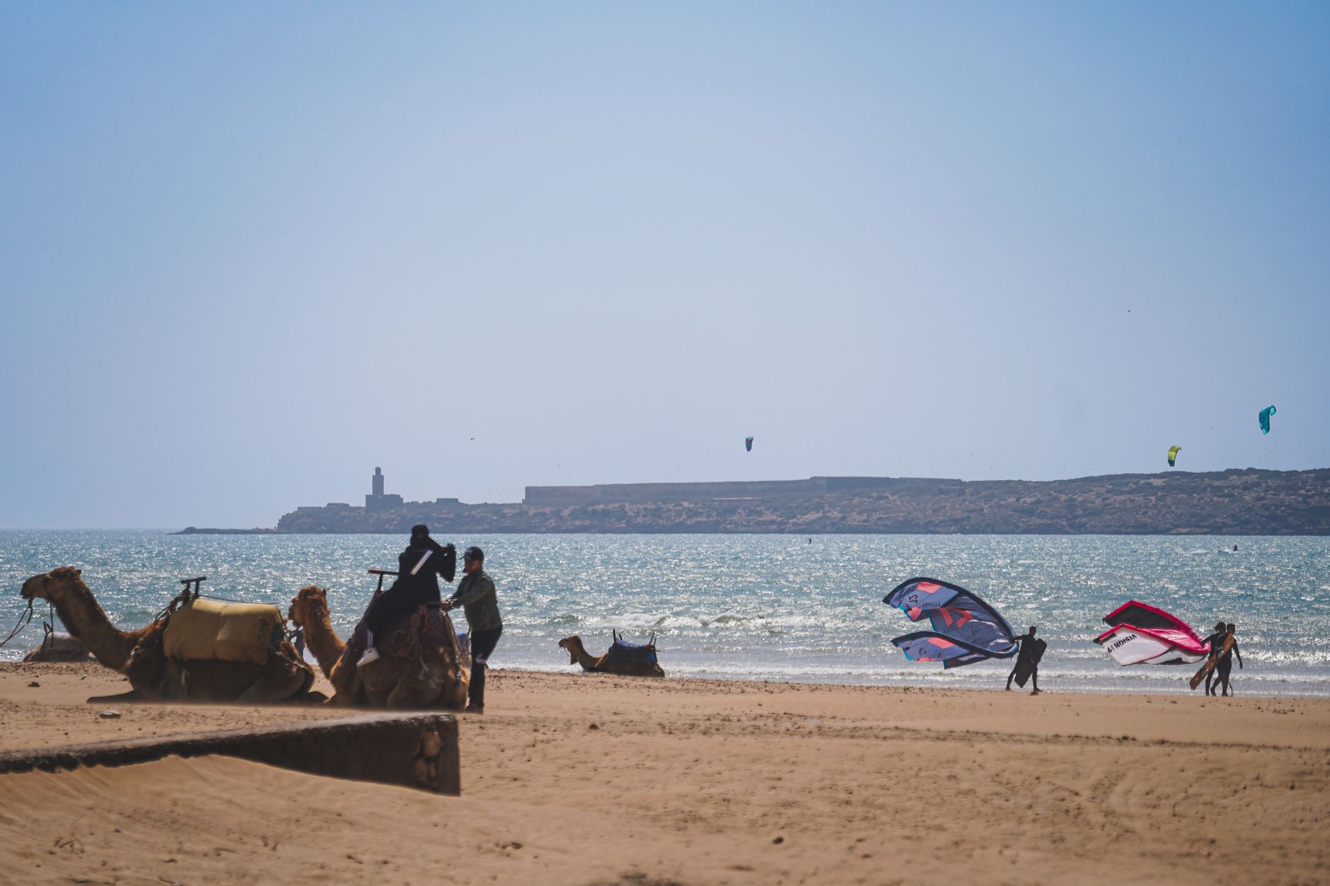 Kitesurfers with their kites on the wide beach of Essaouira, camels resting on the sand and an island on the horizon