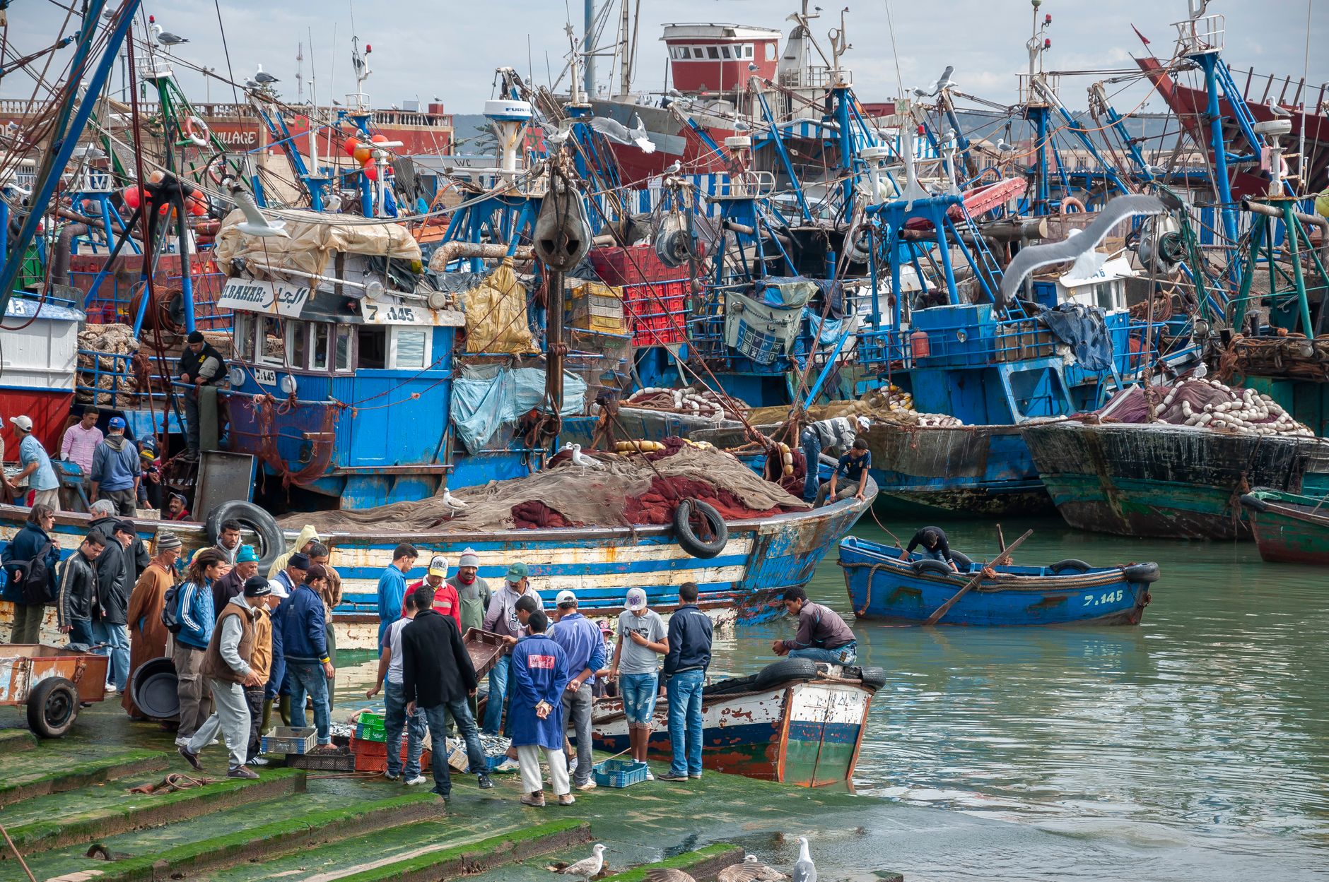 Fishermen standing on the quay among blue and white fishing boats in the crowded working harbour of Essaouira
