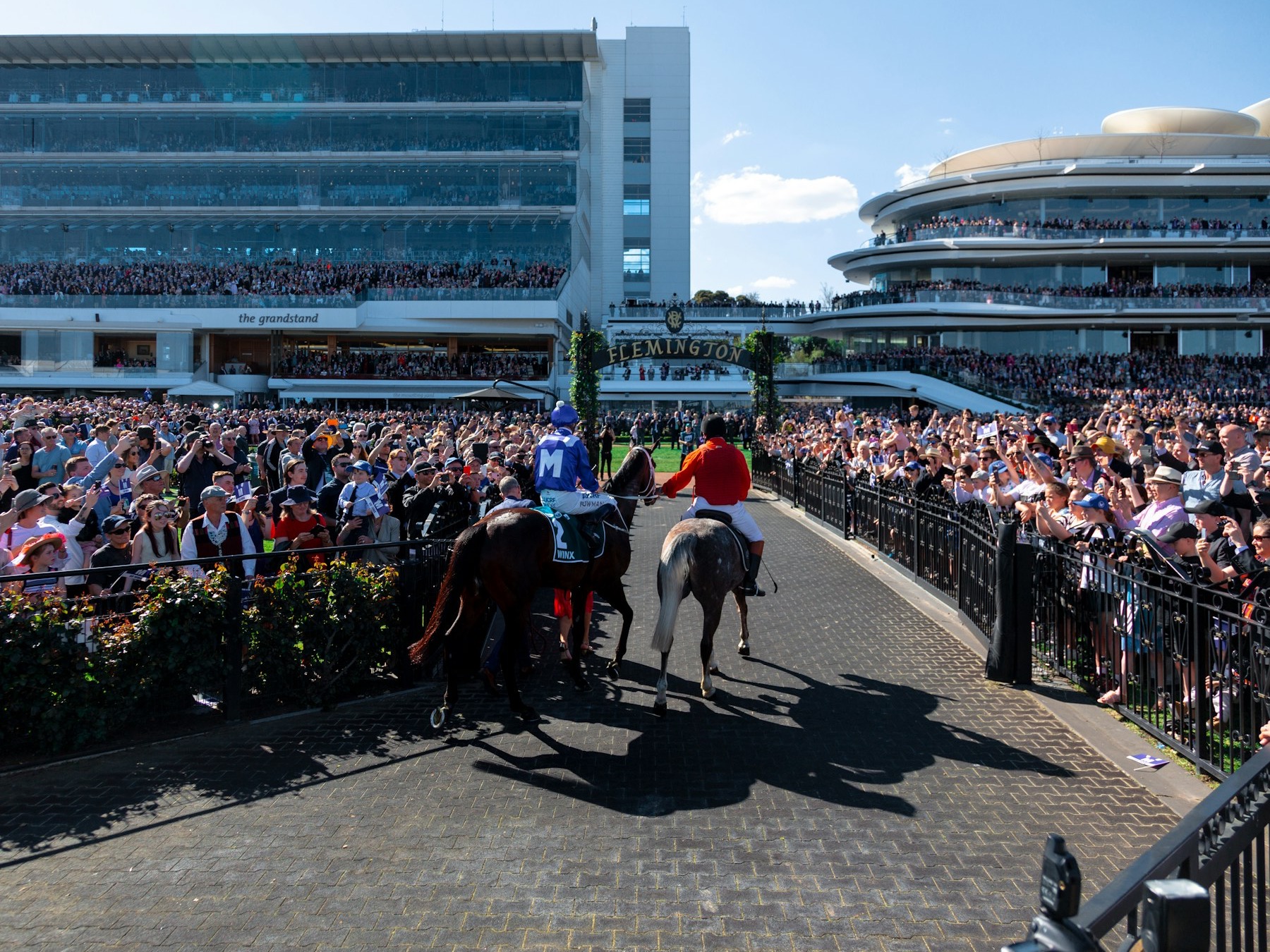 A racehorse, its jockey in blue silks with a white M, led up the brick walkway under Flemington's dark arch with gold lettering, foliage on its posts, through a packed crowd, the Grandstand on the left and the curved Club Stand on the right