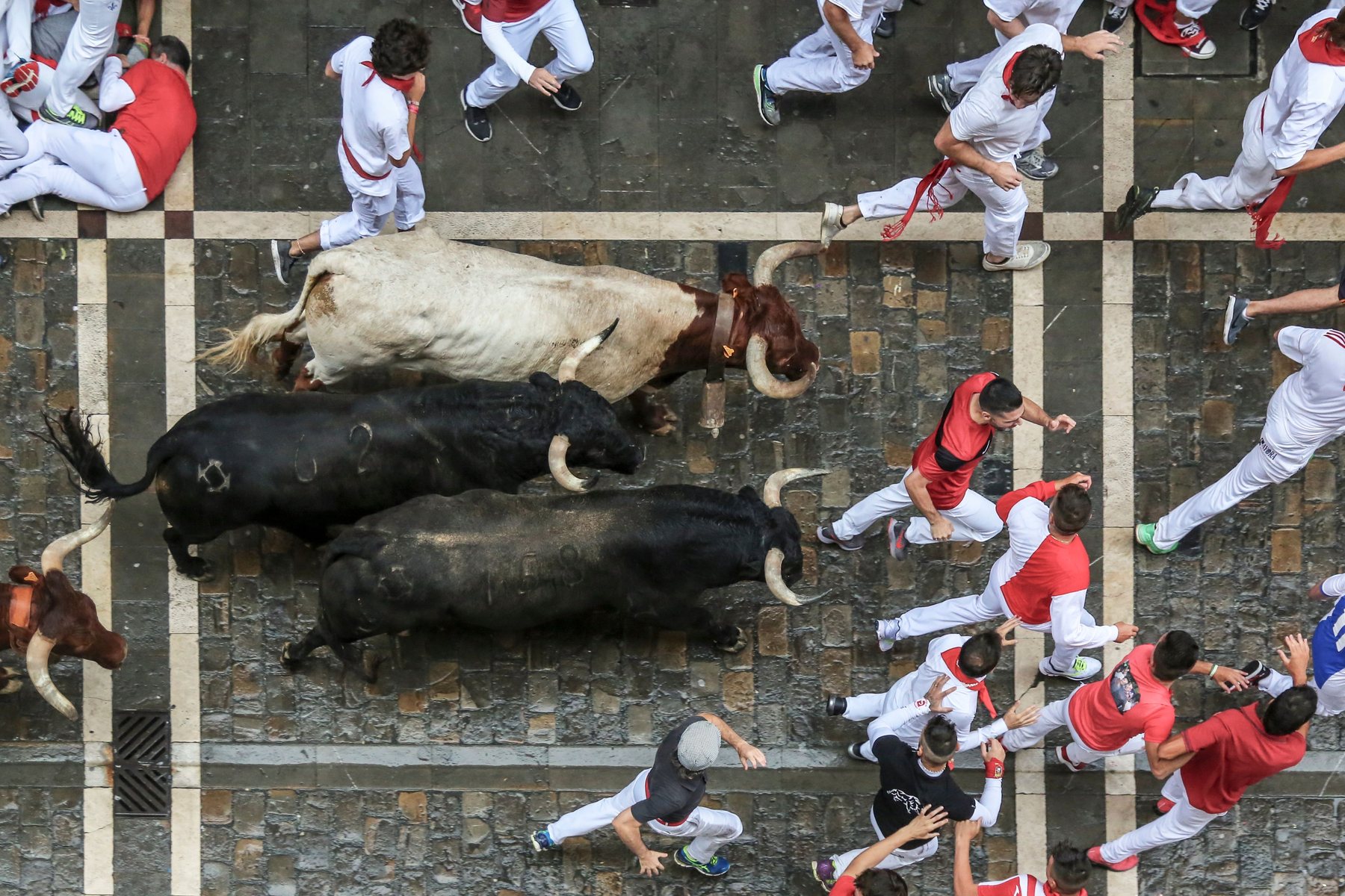 Bulls running along a cobbled Pamplona street seen from above, with runners in white and red around them