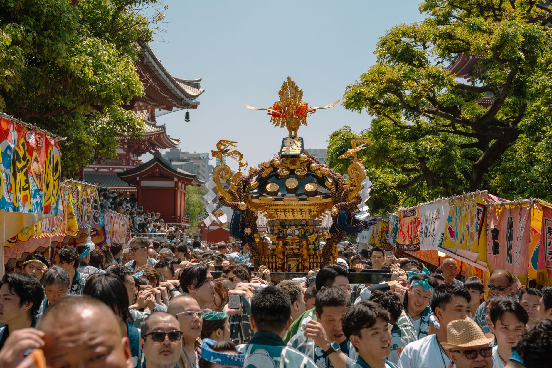 A golden mikoshi carried through the crowd at Senso-ji in Asakusa during Sanja Matsuri