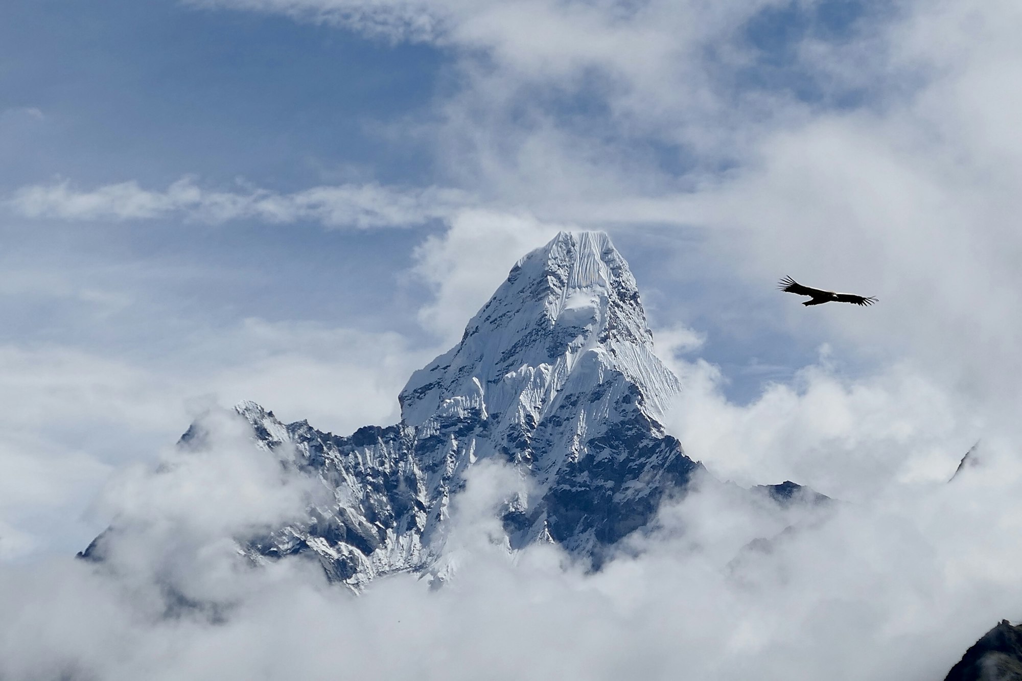 The sharp snow summit of Ama Dablam rising above a bank of cloud in the Khumbu