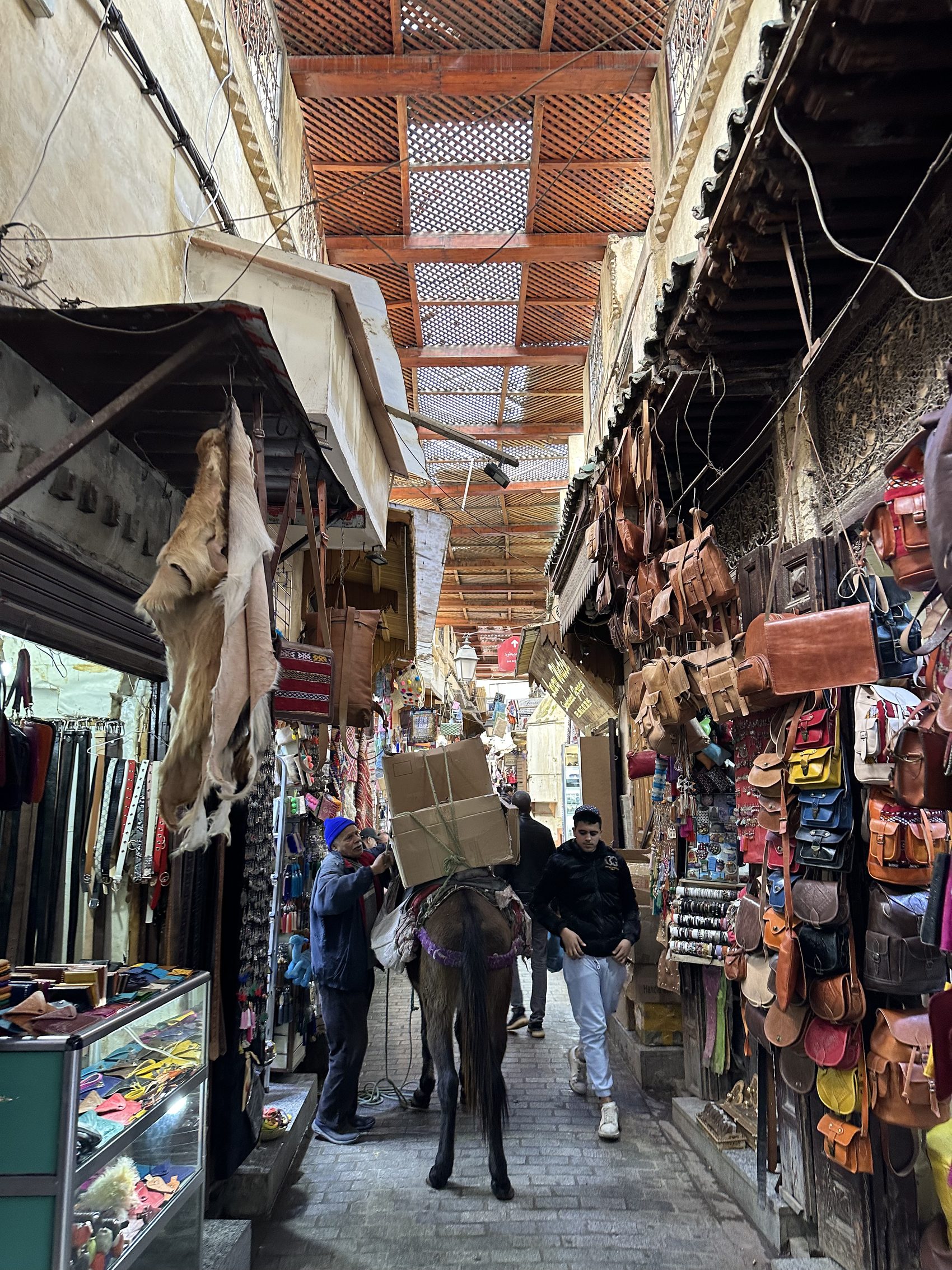 A donkey carrying a load down a souk lane in Fez hung with leather goods