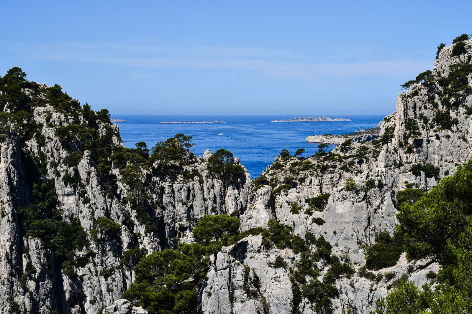 A white limestone inlet in the Calanques near Marseille, pine on the cliffs and the open Mediterranean beyond