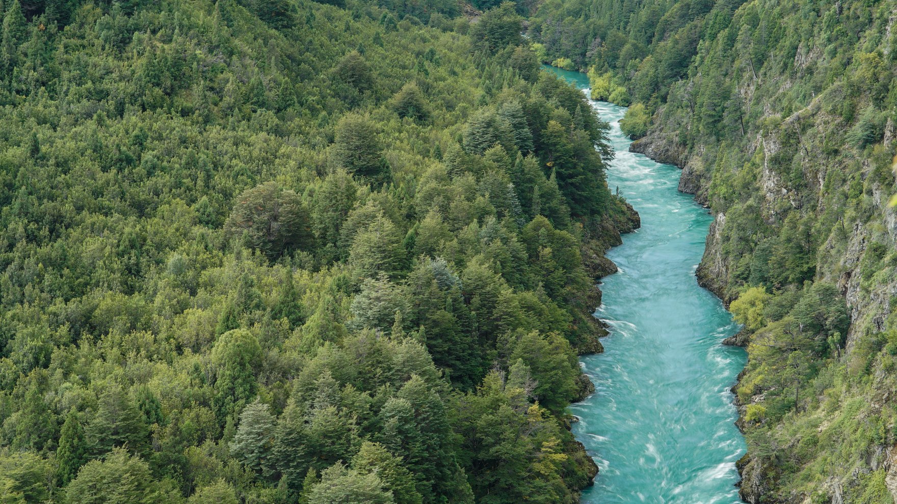 The turquoise Futaleufu river winding through a deep green forested gorge in Patagonia