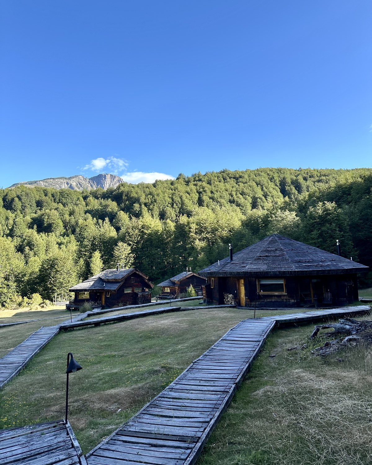 The dark-wood cabins and hexagonal great room of Peuma Lodge on a grassy hillside above the Futaleufu valley