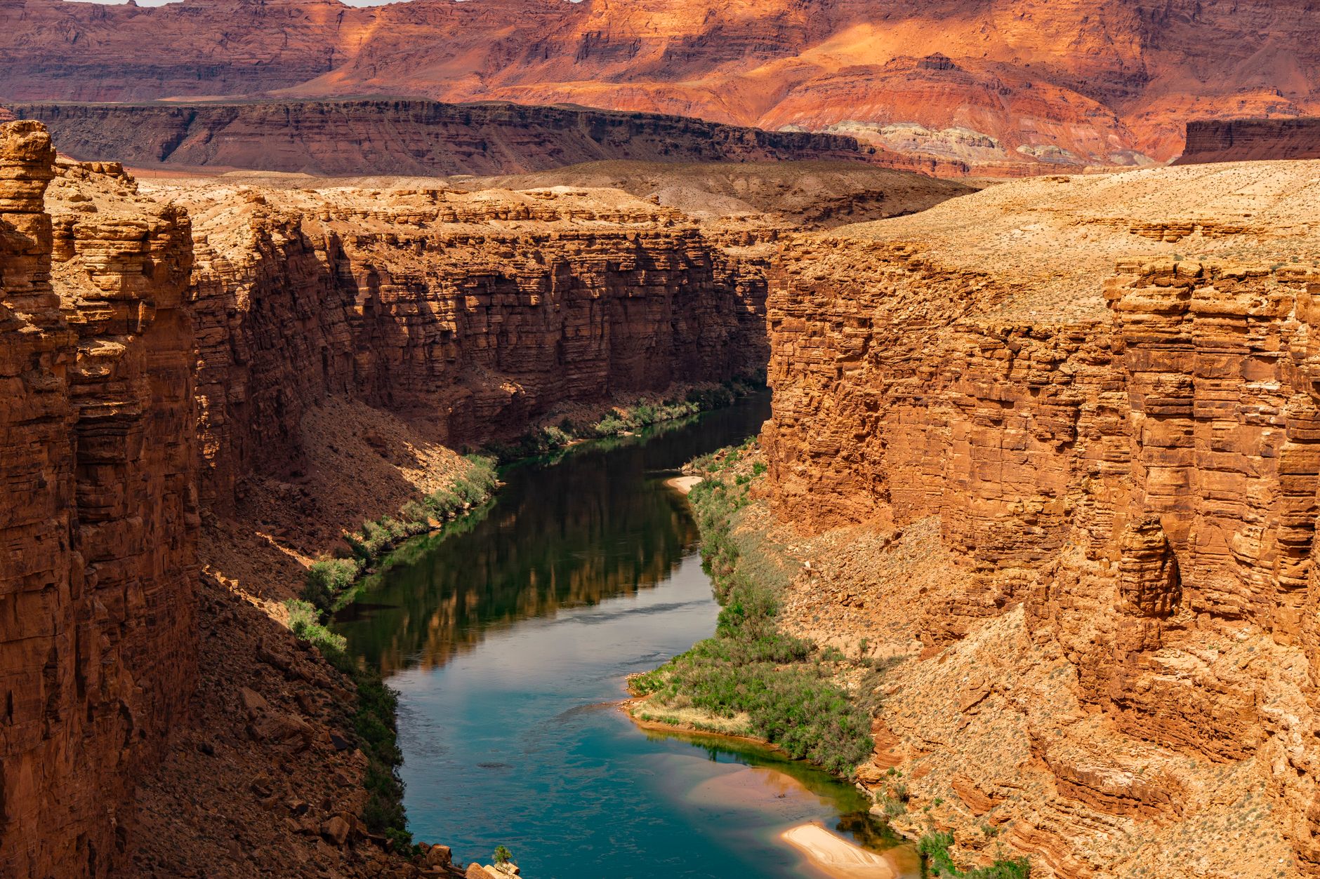 A green bend of the Colorado between red cliffs in the shallow upper canyon near Lees Ferry