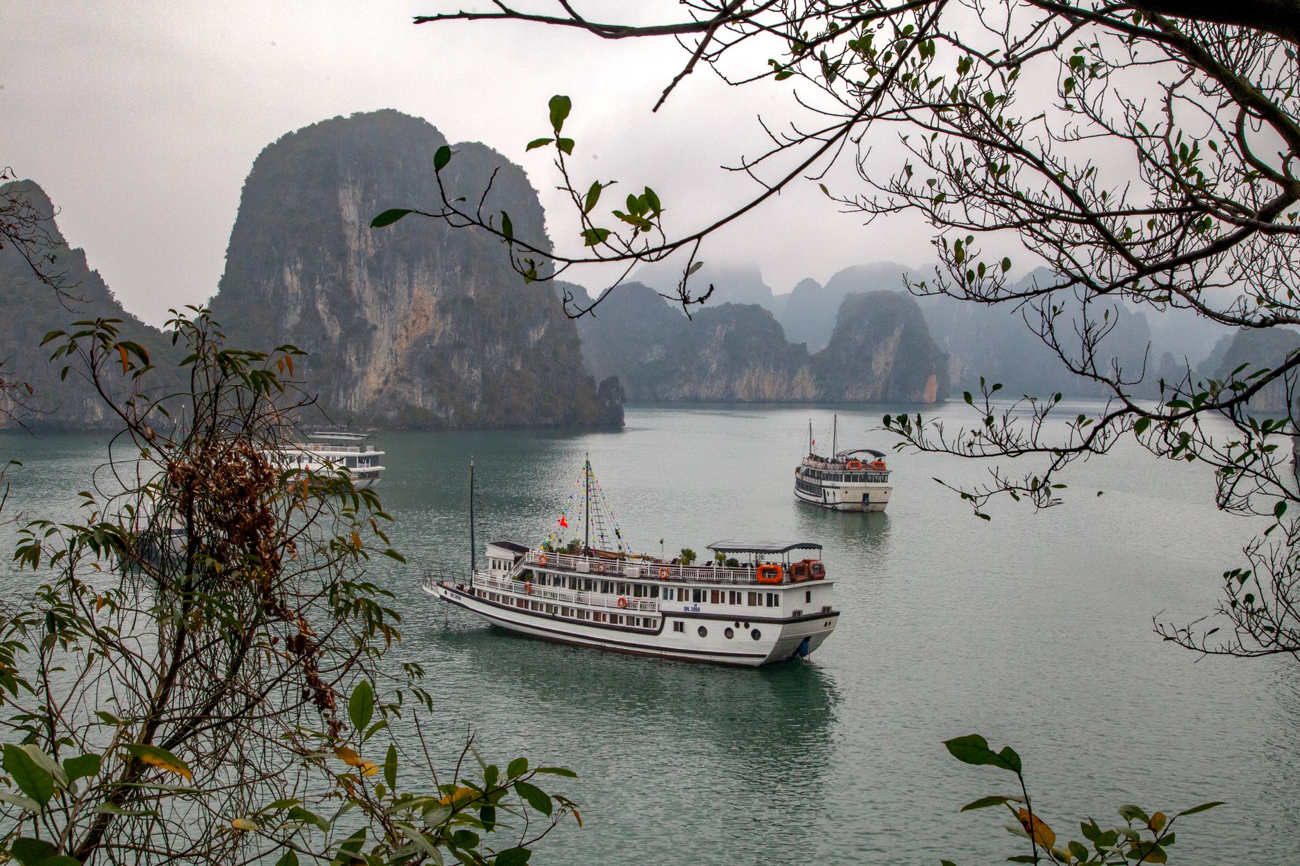 Tour boats moored in a channel between forested limestone cliffs in Ha Long Bay, framed by overhanging branches