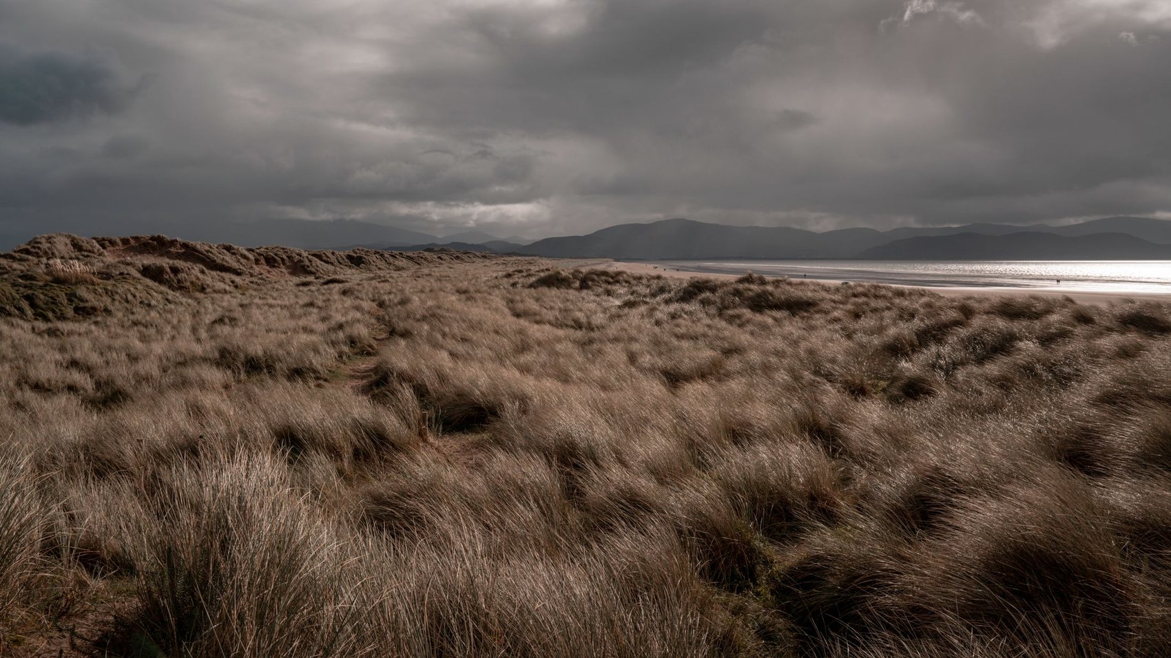 Wind-combed marram grass on a dune ridge above a wide empty strand, with dark mountains and heavy cloud beyond