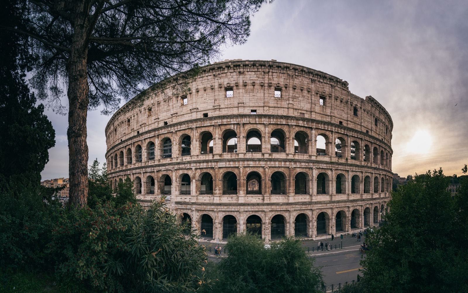 The Colosseum in Rome at sunset, its arched outer wall framed by umbrella pines and trees in the foreground