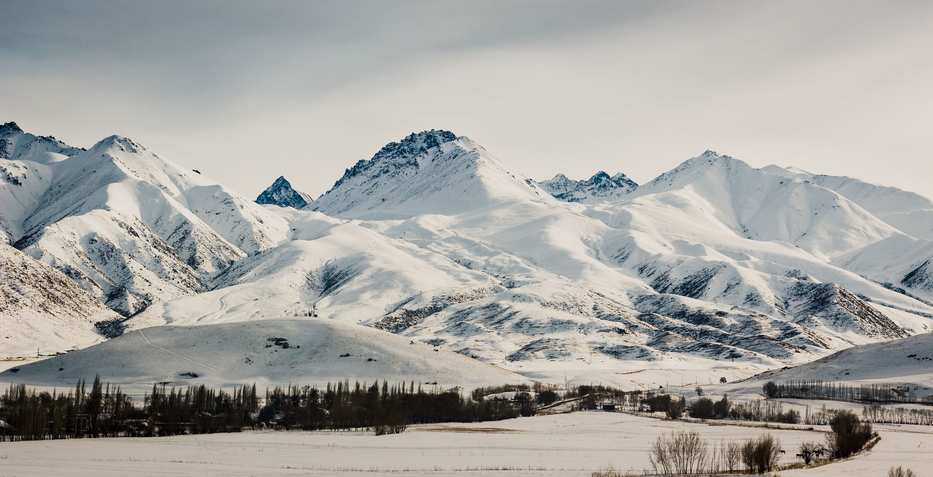 A wide snow-covered mountain range rising over a flat white plain in winter