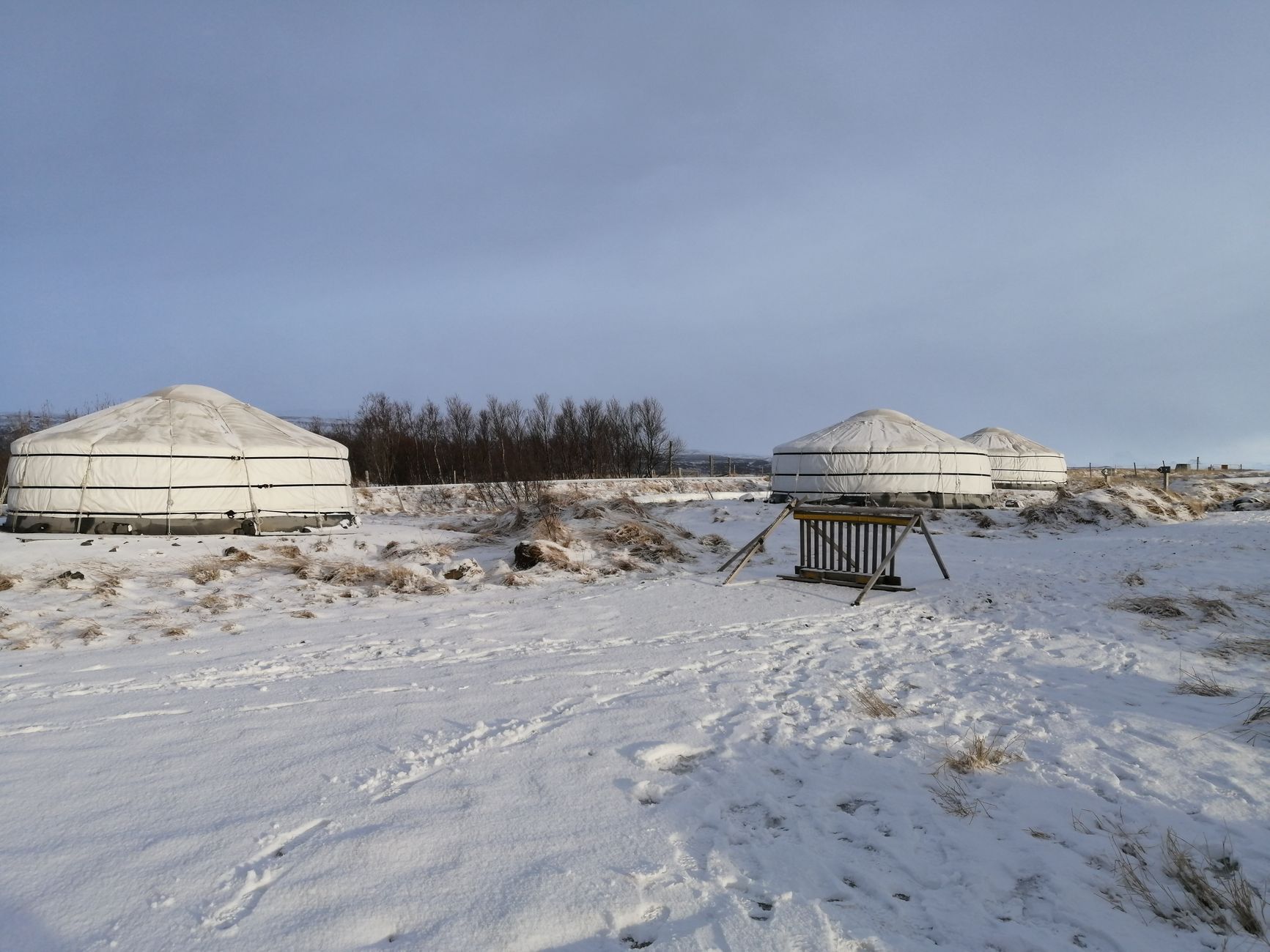 Two yurts standing on open snow under a pale winter sky