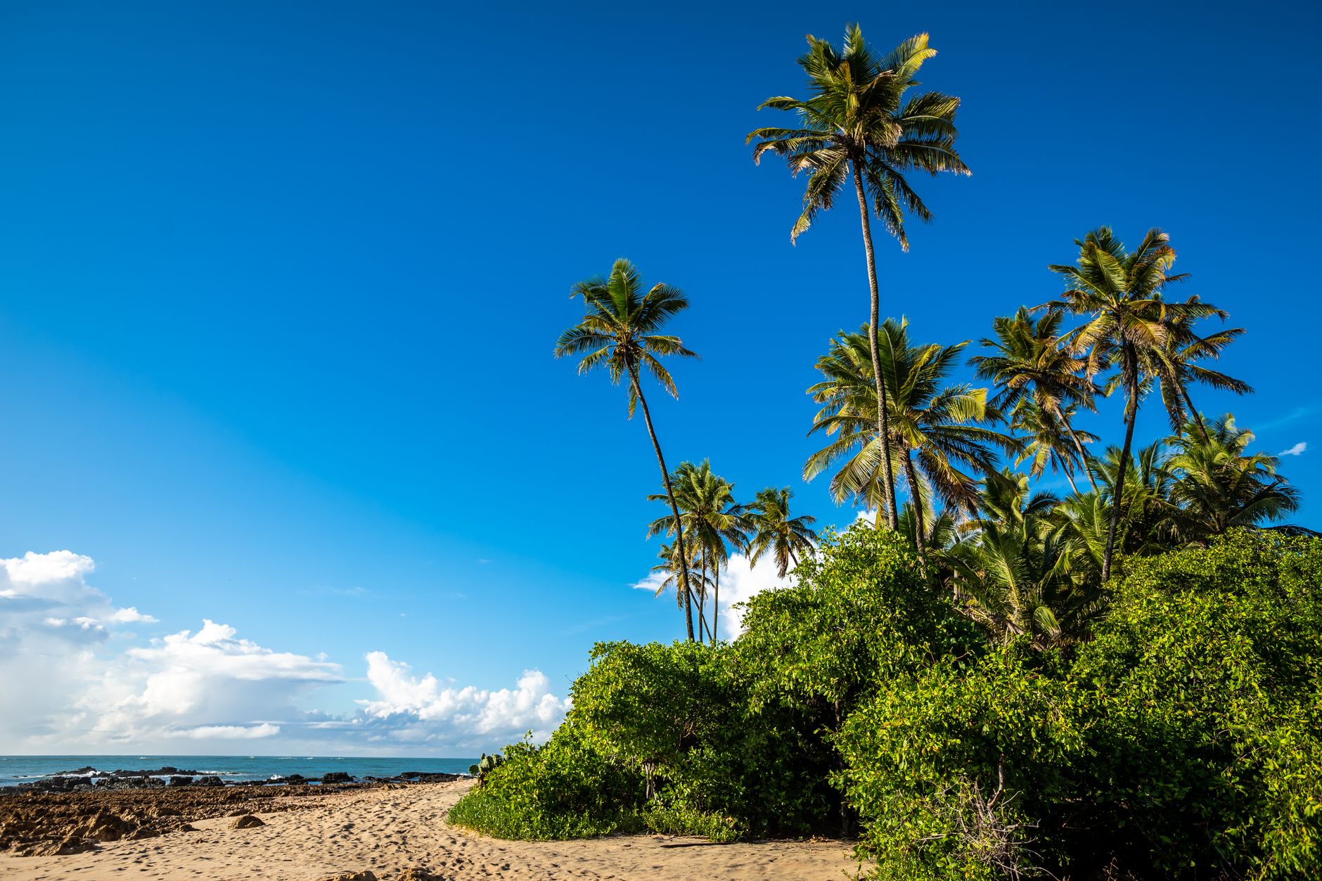 A quiet palm-fringed beach on the Ssese Islands
