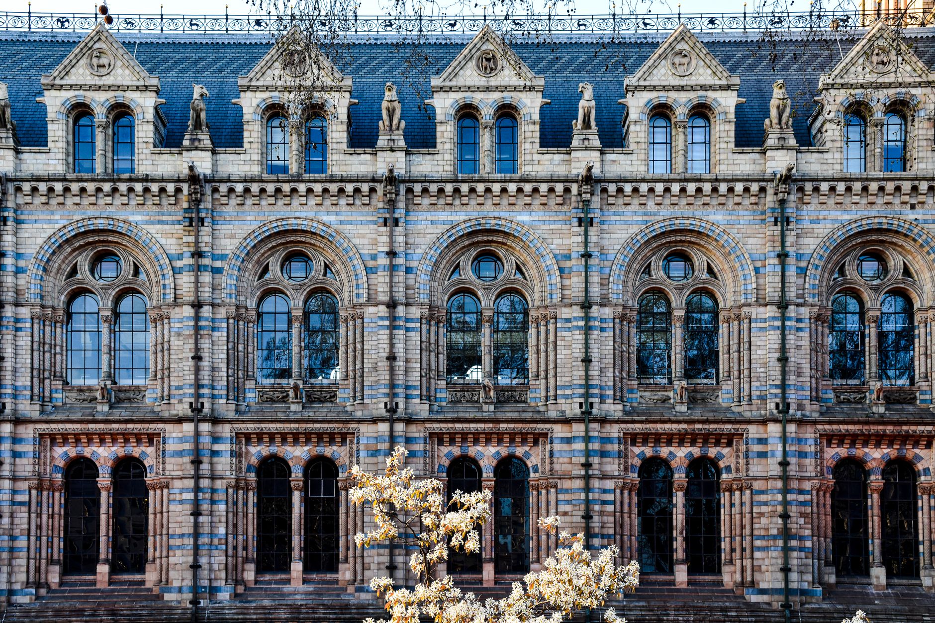 The terracotta facade of the Natural History Museum