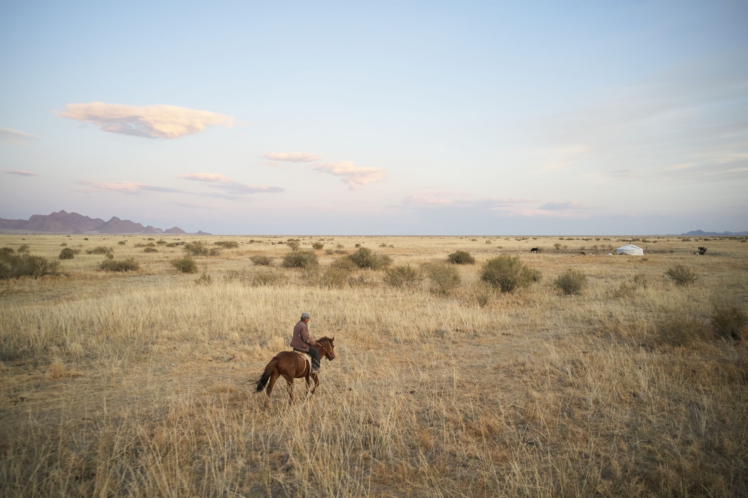 A lone horseman crossing a wide golden plain toward a distant ger and low mountains
