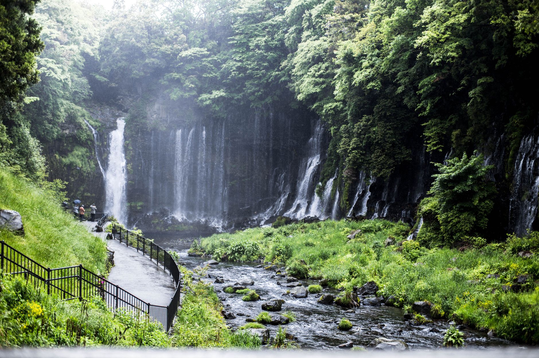 A broad curtain of thread-like waterfalls falling through dense green forest