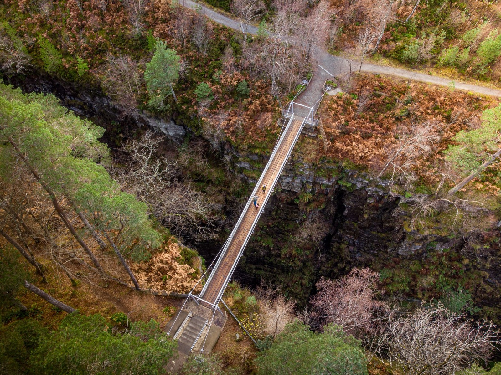 Aerial view of a timber suspension bridge crossing a deep wooded gorge, two walkers on it