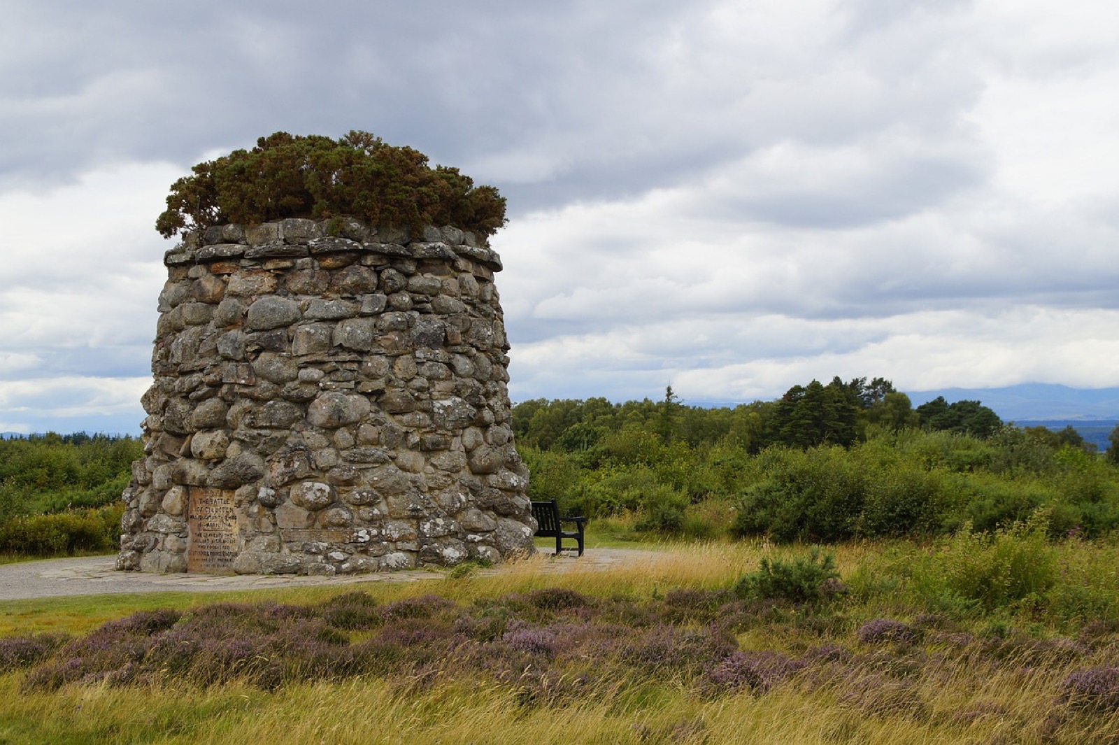 A stone memorial cairn topped with gorse beside heather on Culloden moor
