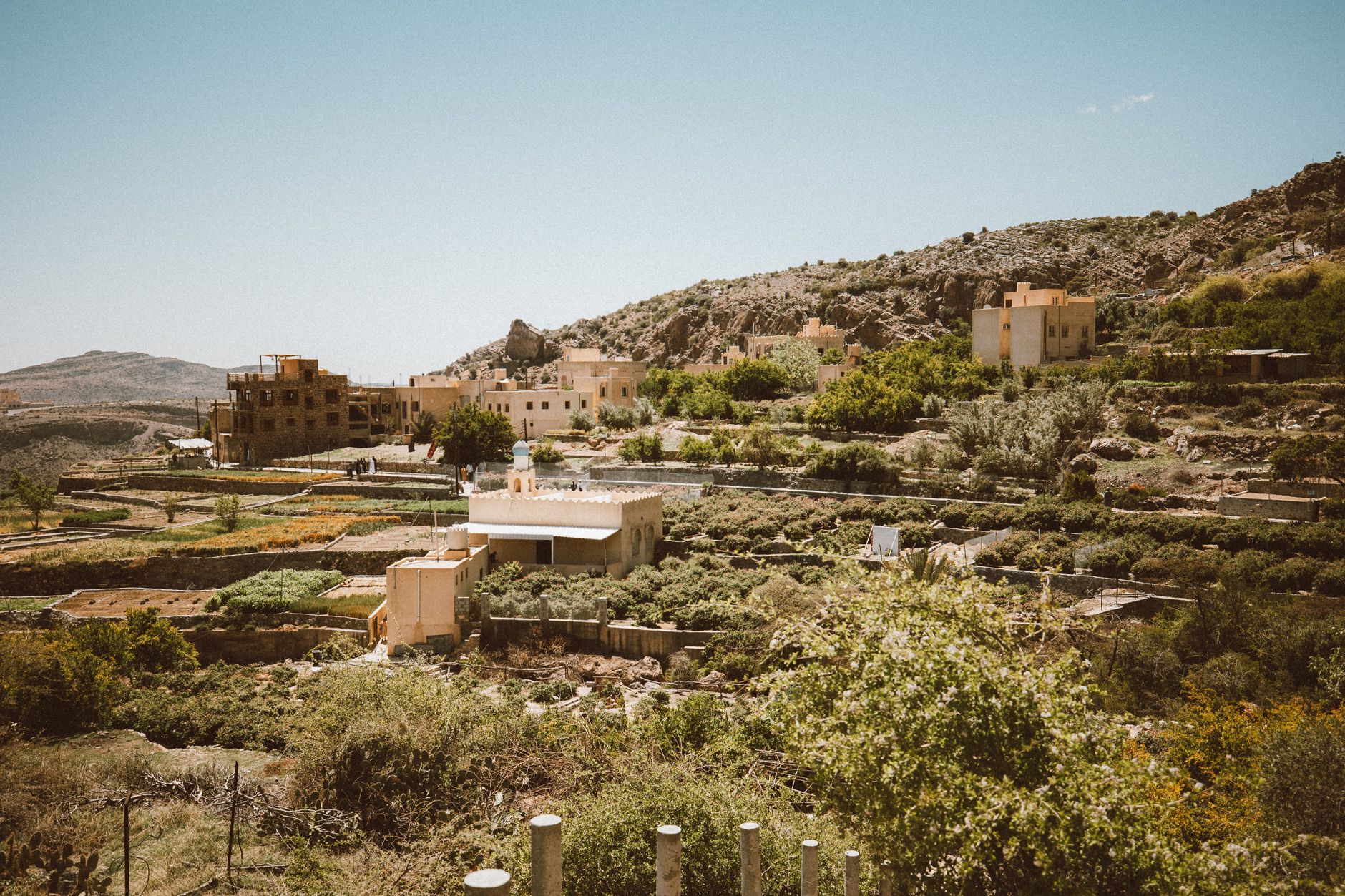 Terraced orchard farms on the Saiq plateau of Jebel Akhdar