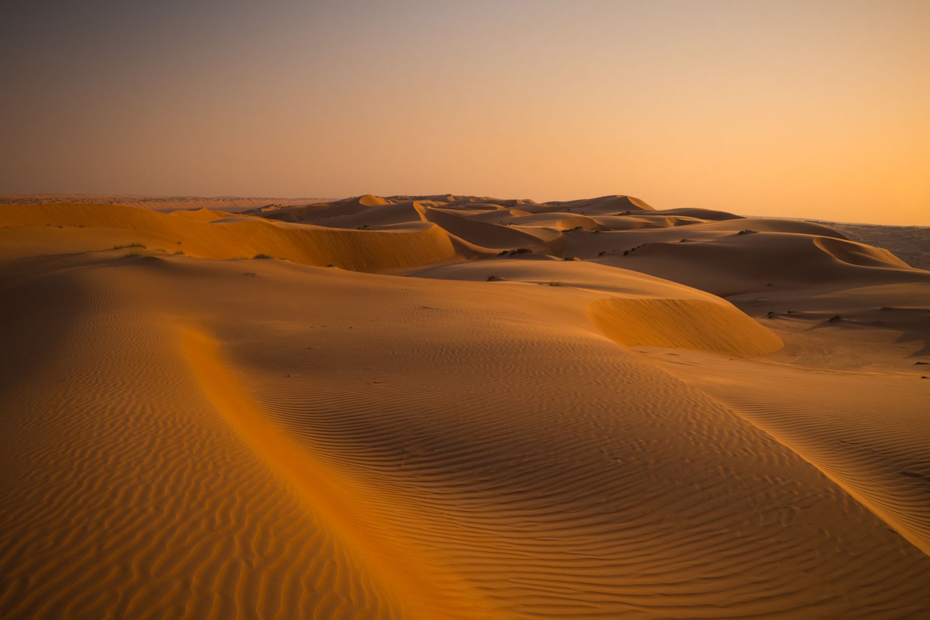 Golden sand dunes at sunset in the Wahiba Sands, Oman