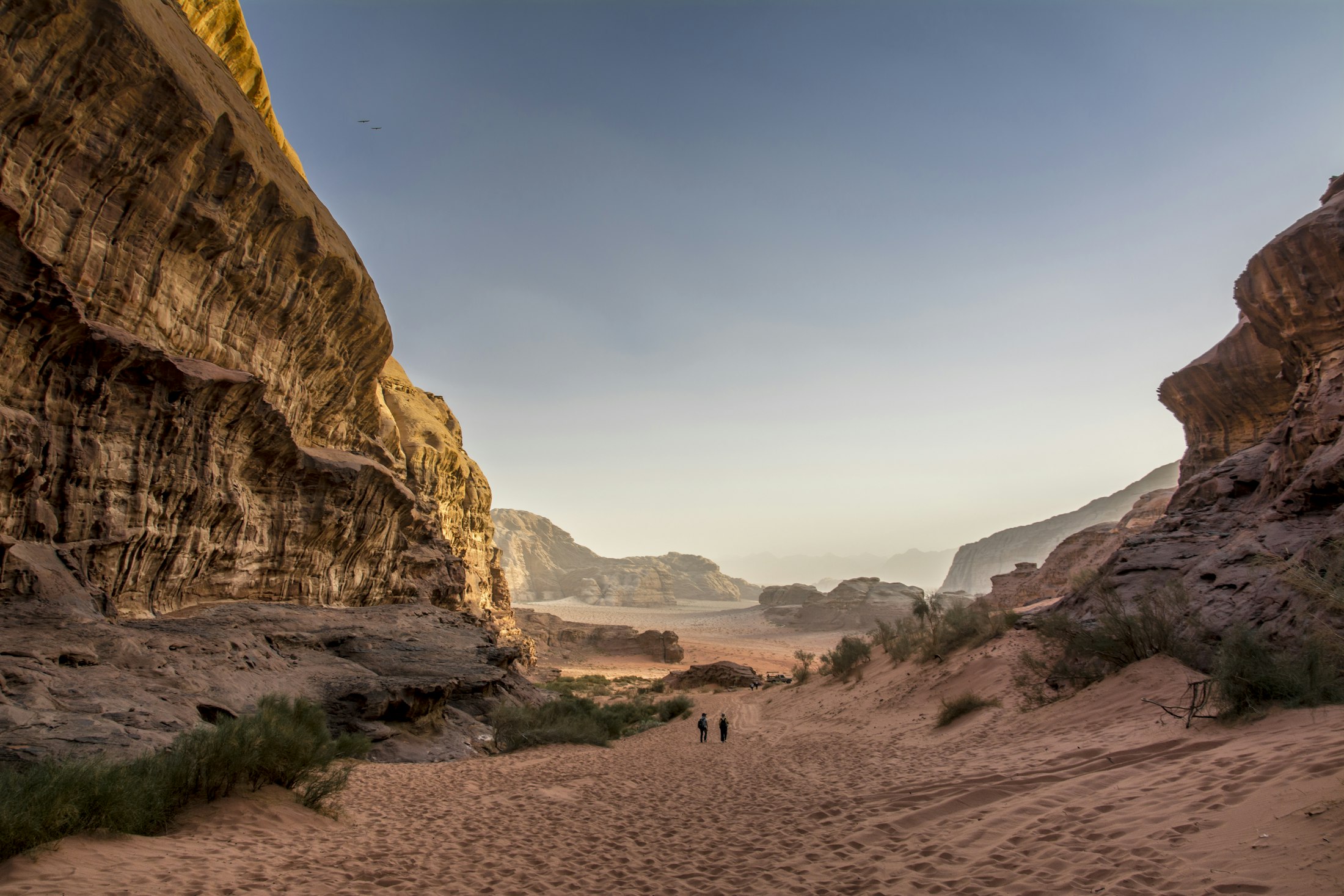 The narrow sandstone walls of the Siq canyon leading into Petra