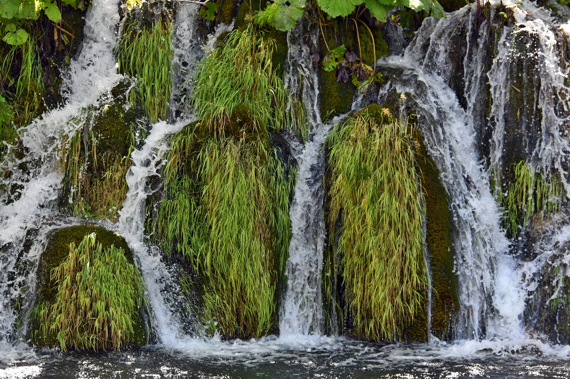 Water pouring over mossy green travertine barriers in a wide curtain of small waterfalls at Plitvice