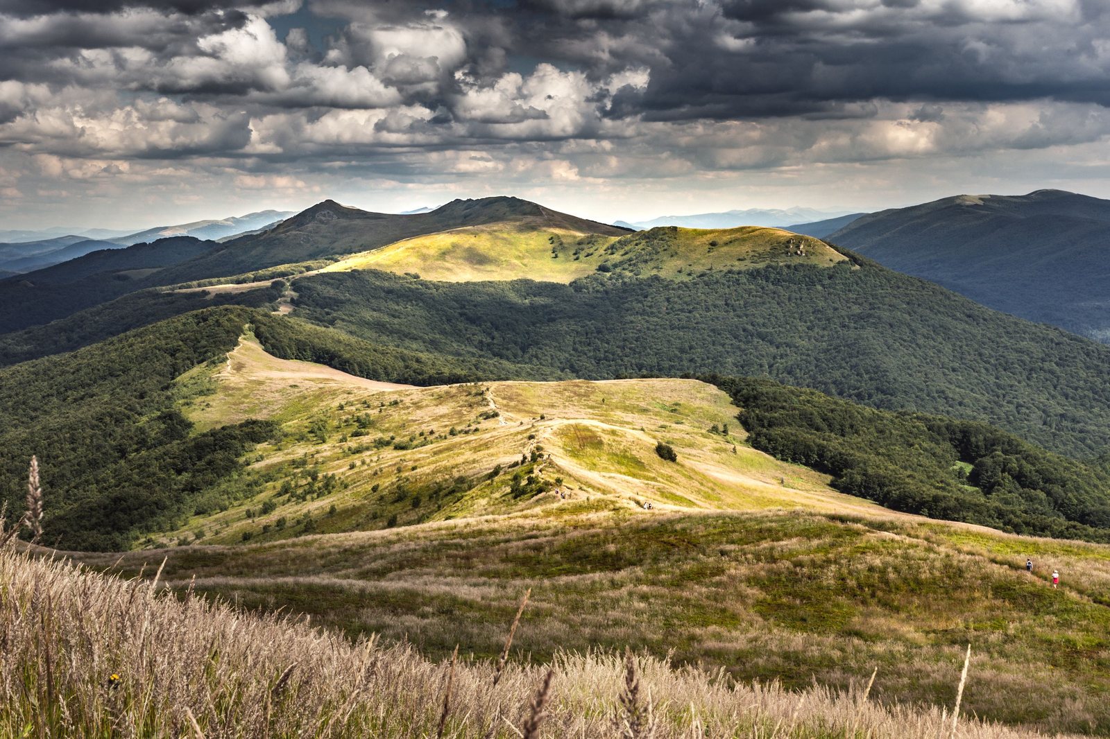 The grassy ridges of the Bieszczady mountains in late summer, a path running along the crest under a cloudy sky