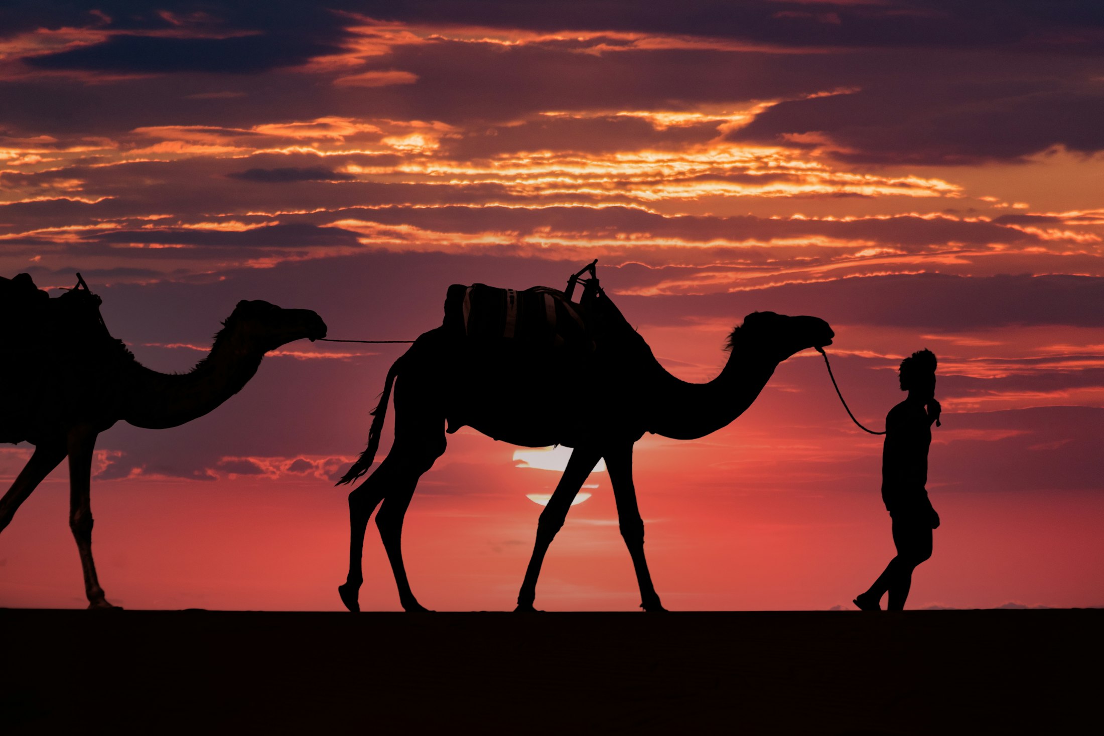 Camels and a handler in silhouette against a fiery orange sunset at the Pyramids of Giza