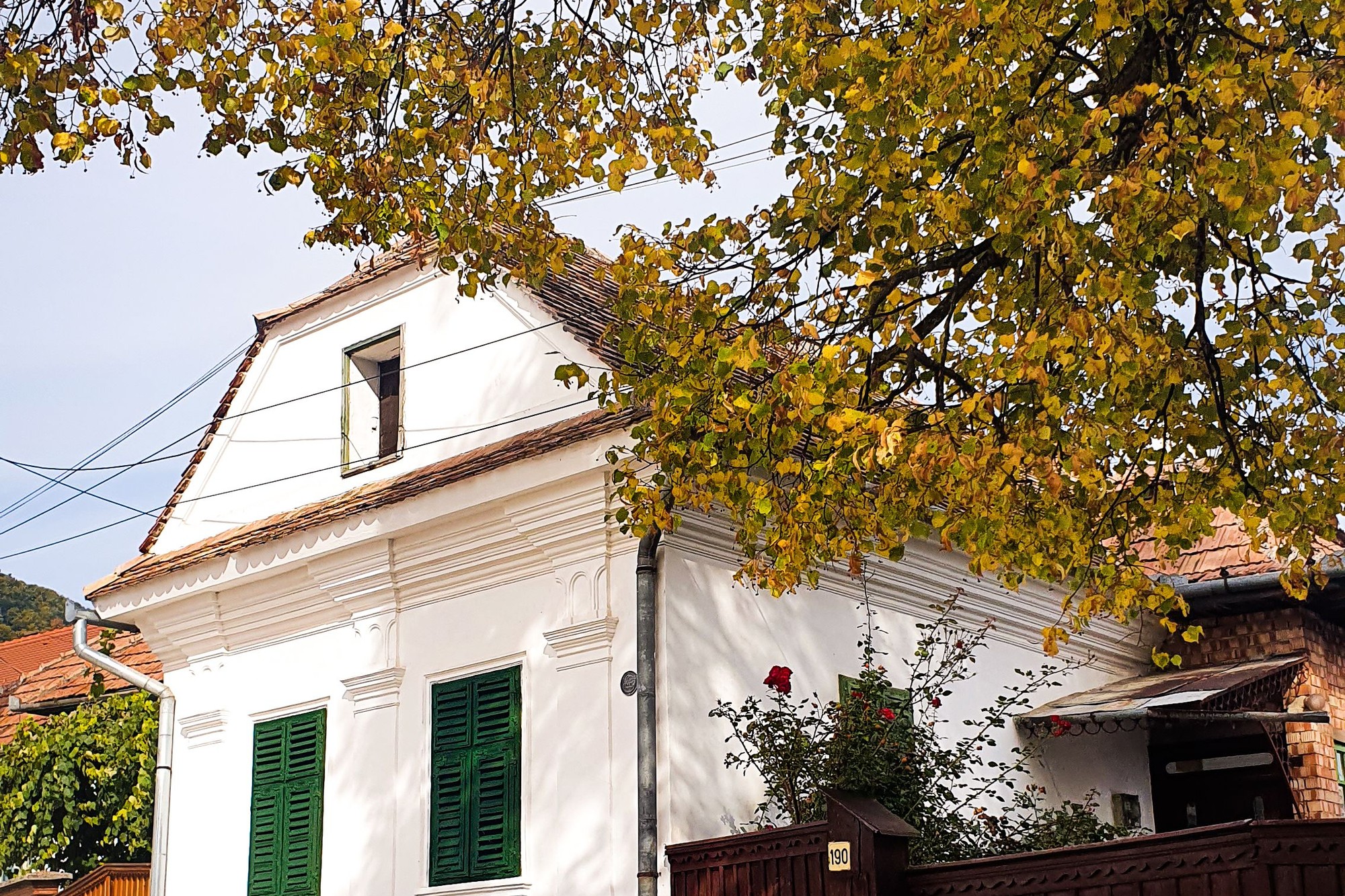 A whitewashed village house with green shutters standing under a yellow autumn tree