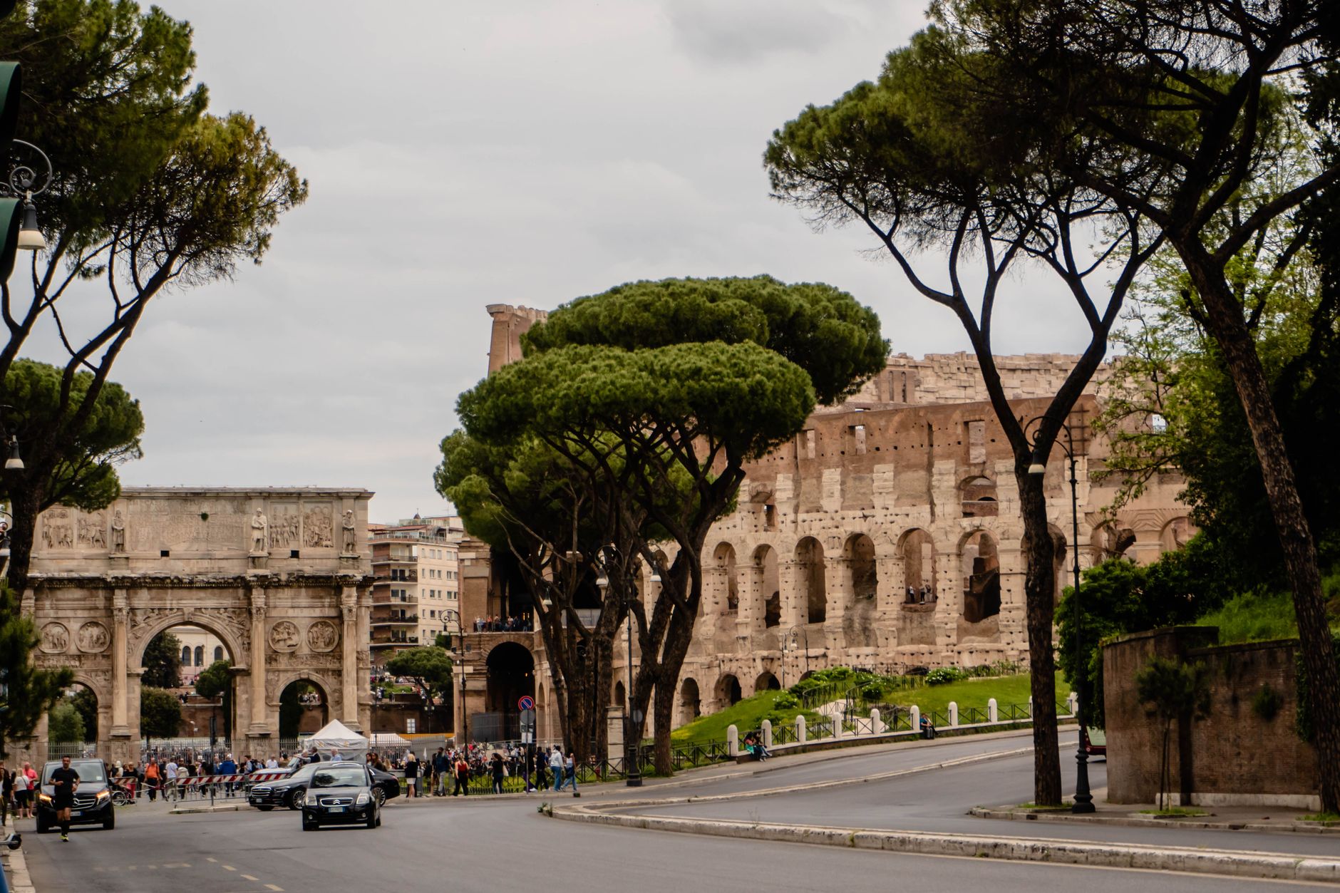 The Colosseum and the Arch of Constantine under umbrella pines
