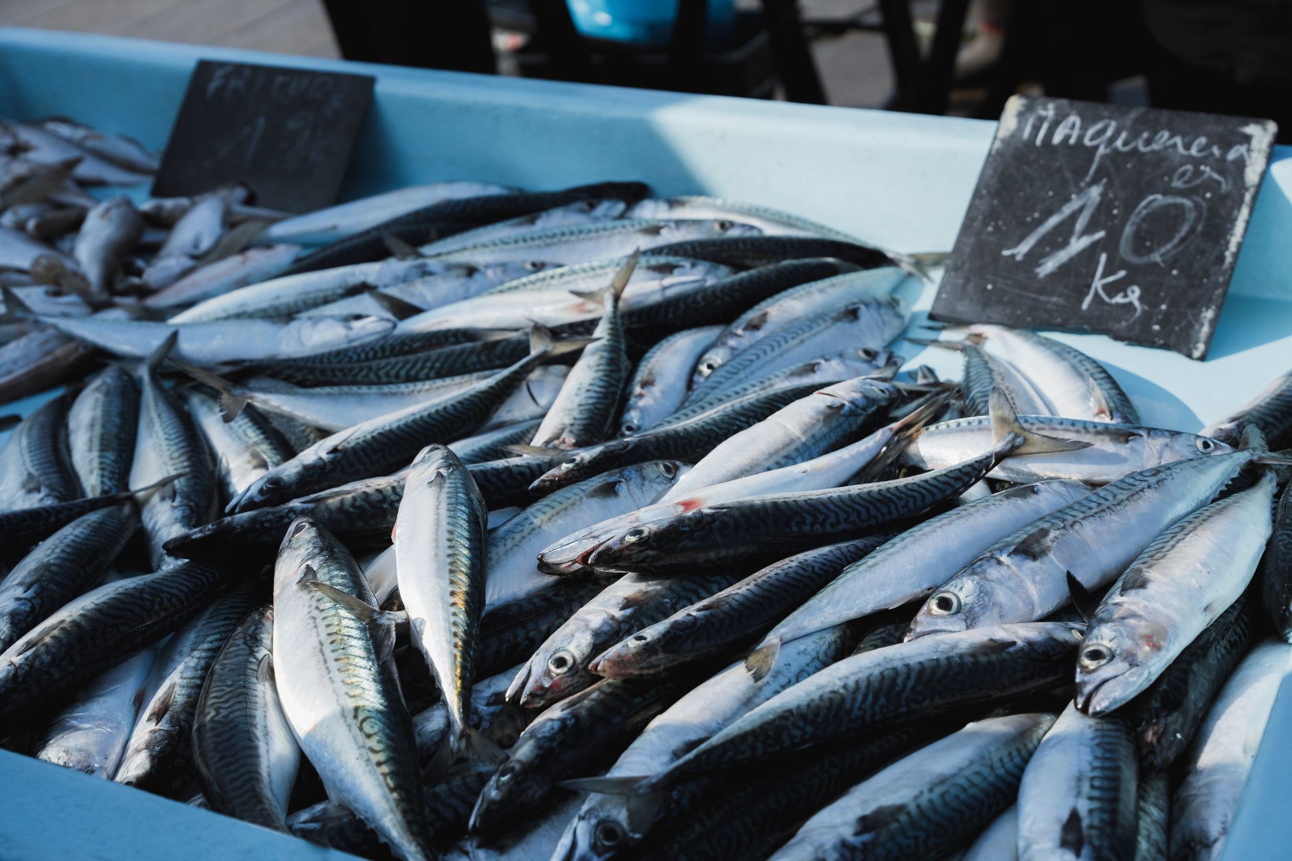A dense pile of fresh mackerel laid out on a market slab beside a chalked sign