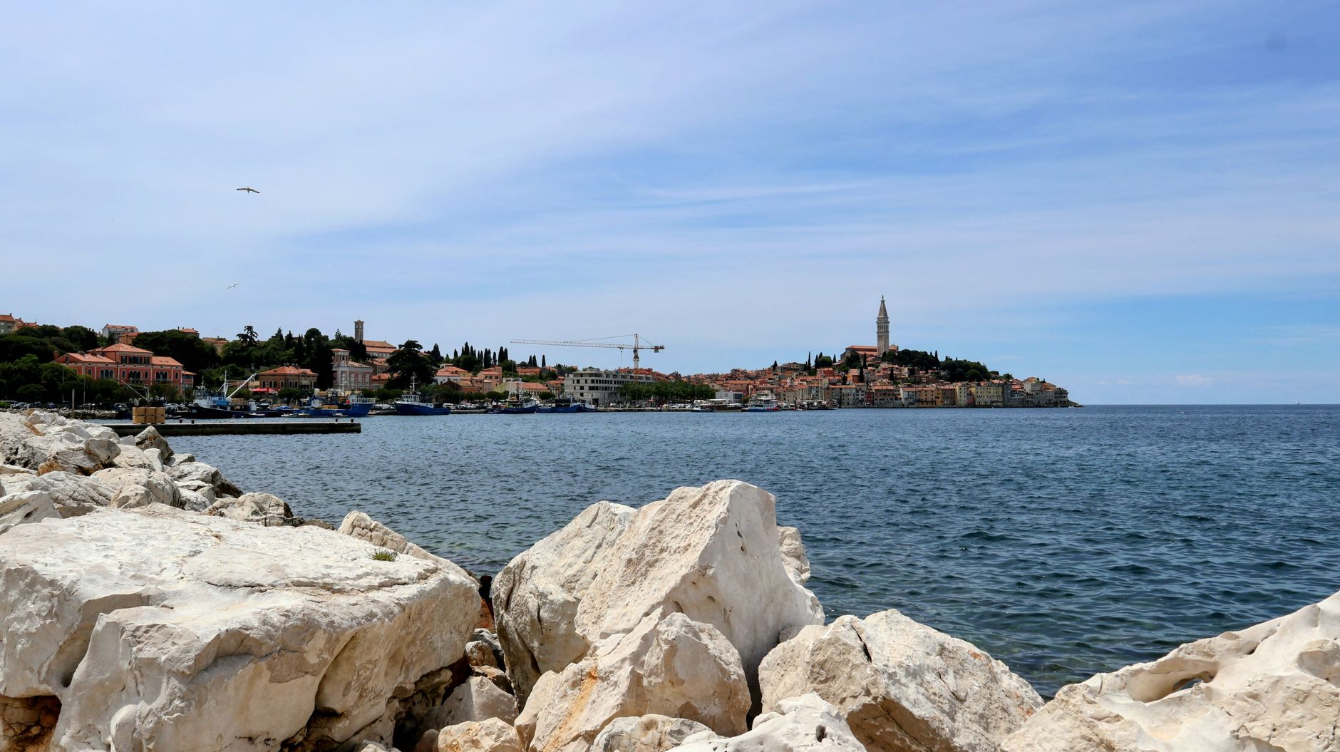 White limestone boulders in the foreground with the wooded shore of Rovinj and its bell tower across the water