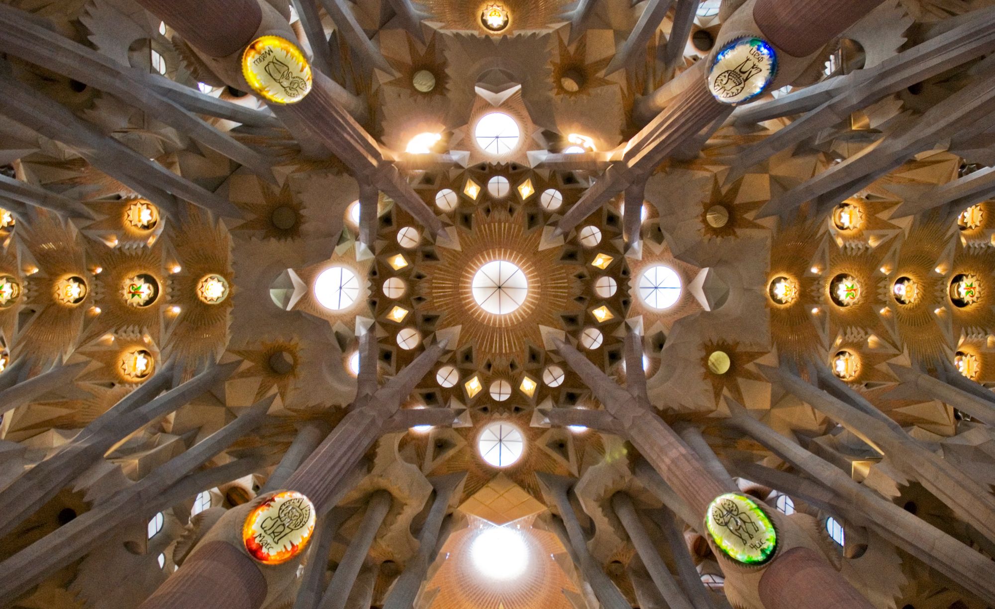 The interior columns of the Sagrada Família rising and branching like trees into a stone canopy studded with star-shaped skylights
