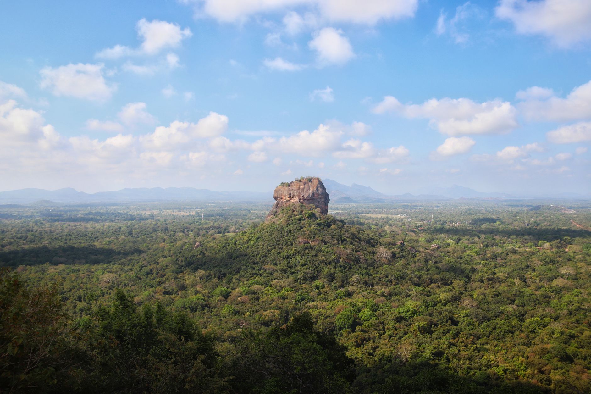 Sigiriya rock seen across dense jungle from an elevated viewpoint